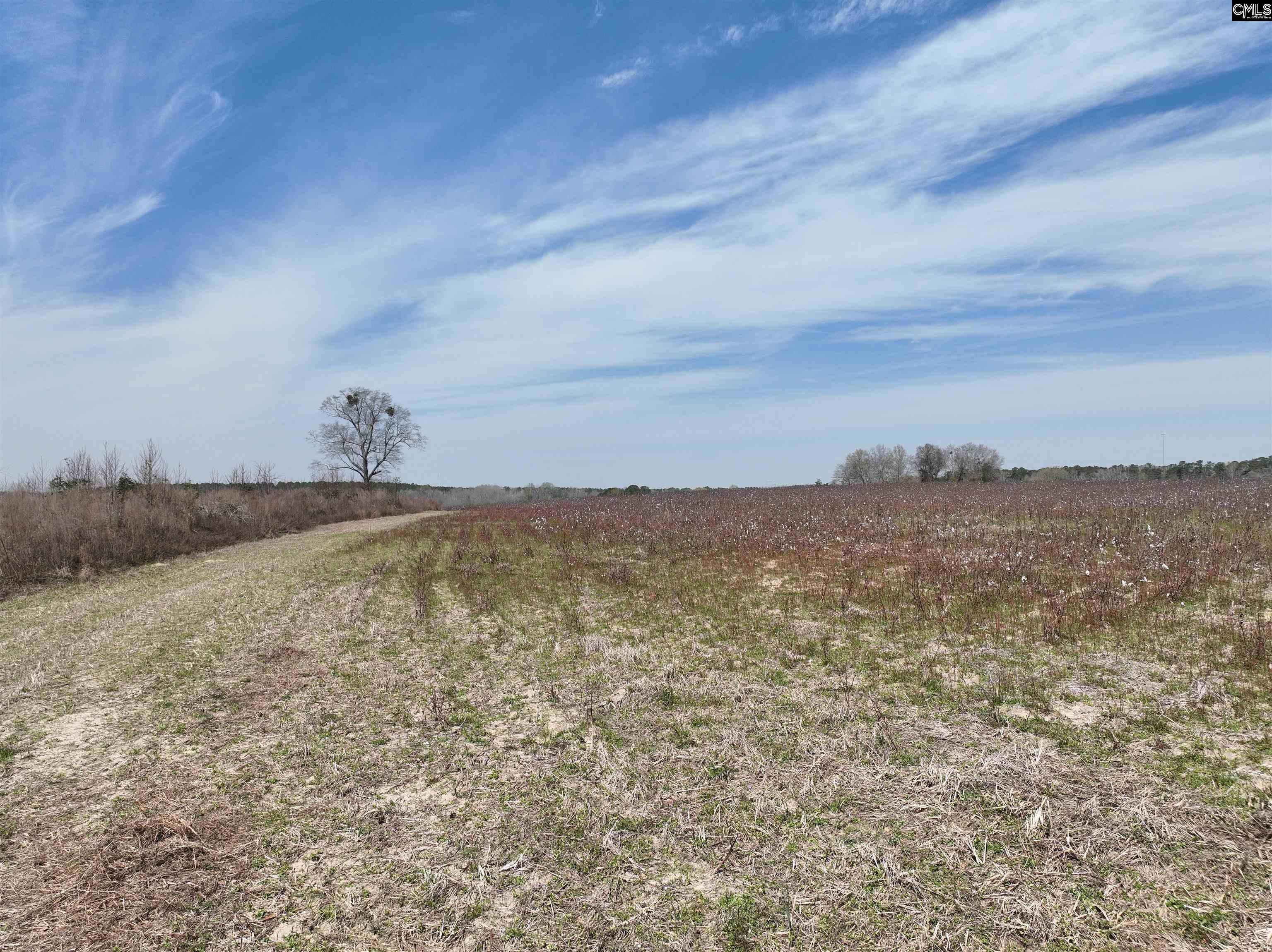 00 Dr Boylston Road, Salley, South Carolina image 10