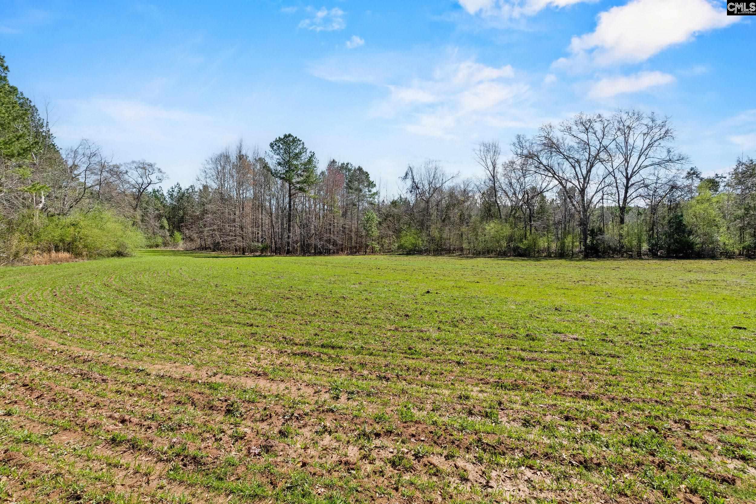 1608 Mike Stuck Road, Little Mountain, South Carolina image 4