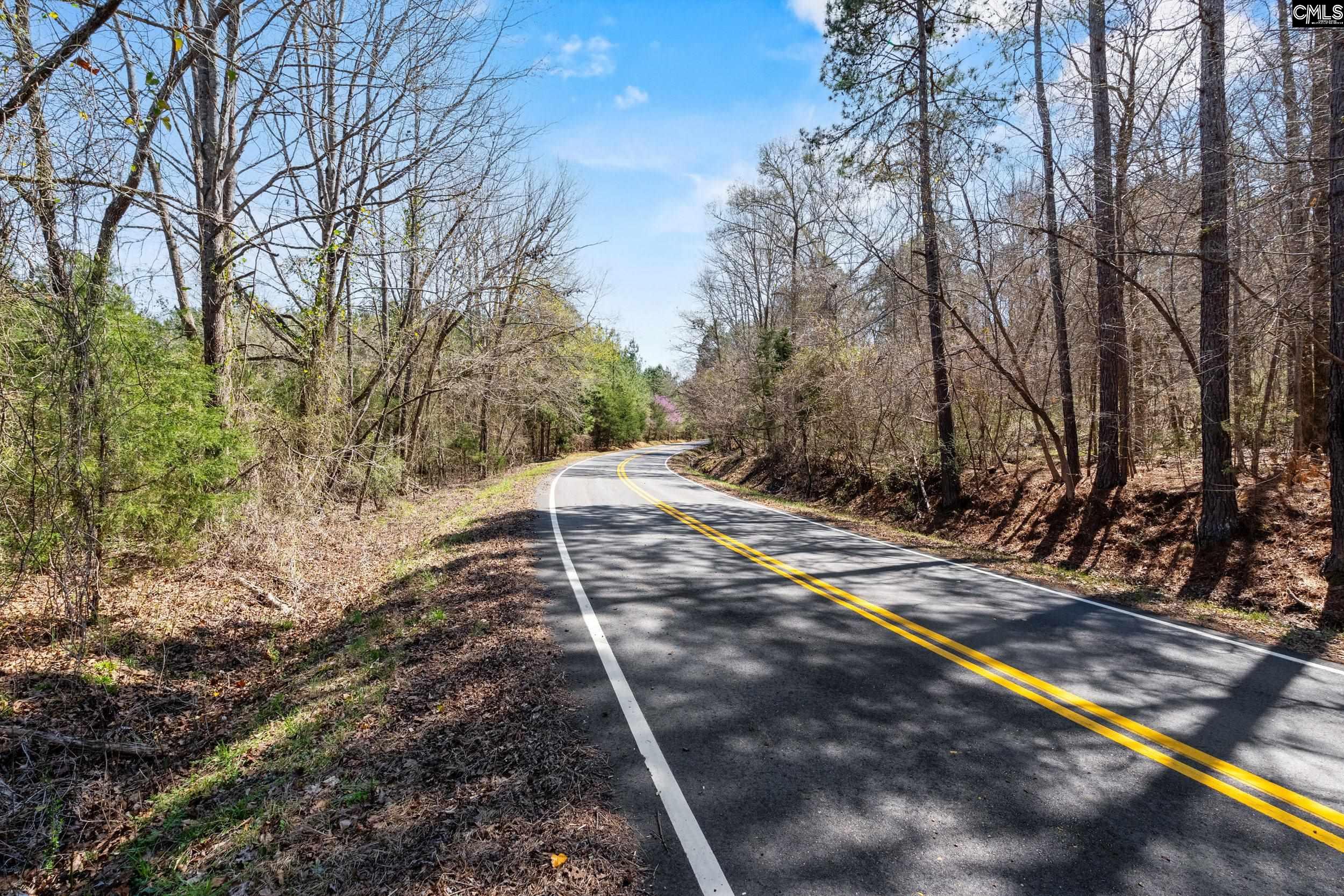 1608 Mike Stuck Road, Little Mountain, South Carolina image 7