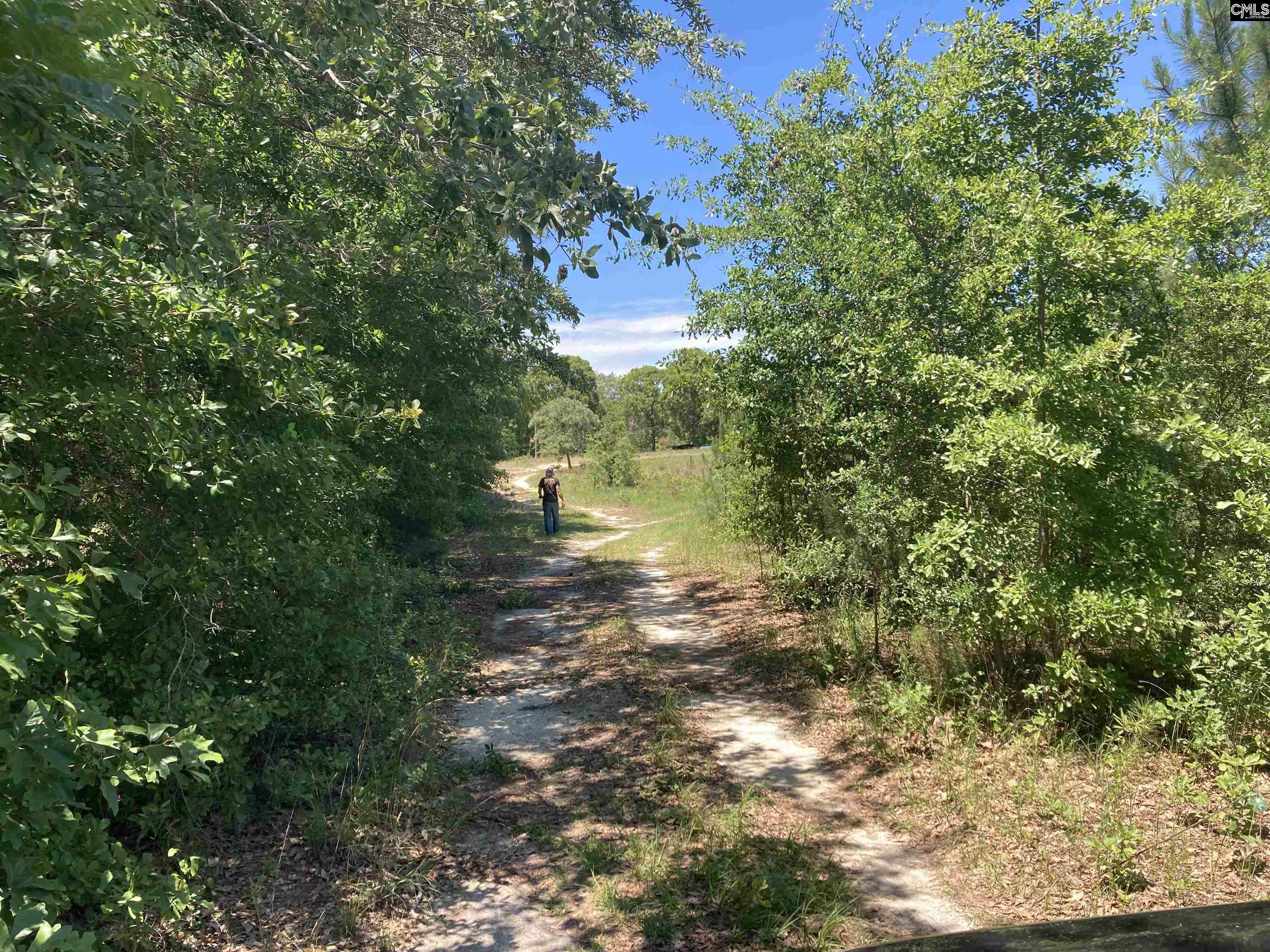 1932 Thoroughfare Branch Road, Cassatt, South Carolina image 1