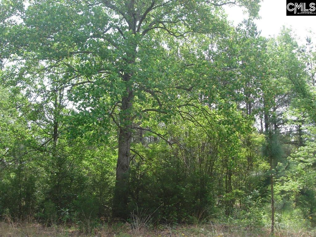1386 Charlie Johnson Road, Kershaw, South Carolina image 2