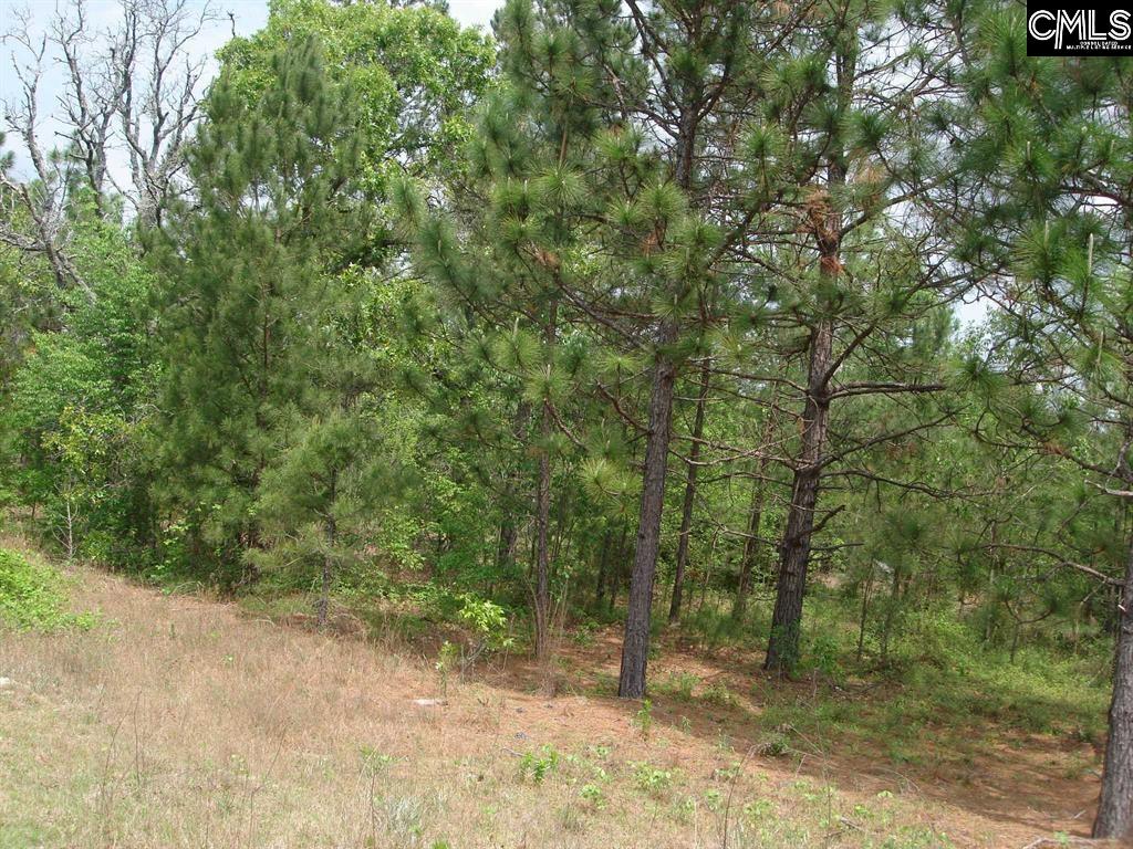 1386 Charlie Johnson Road, Kershaw, South Carolina image 3