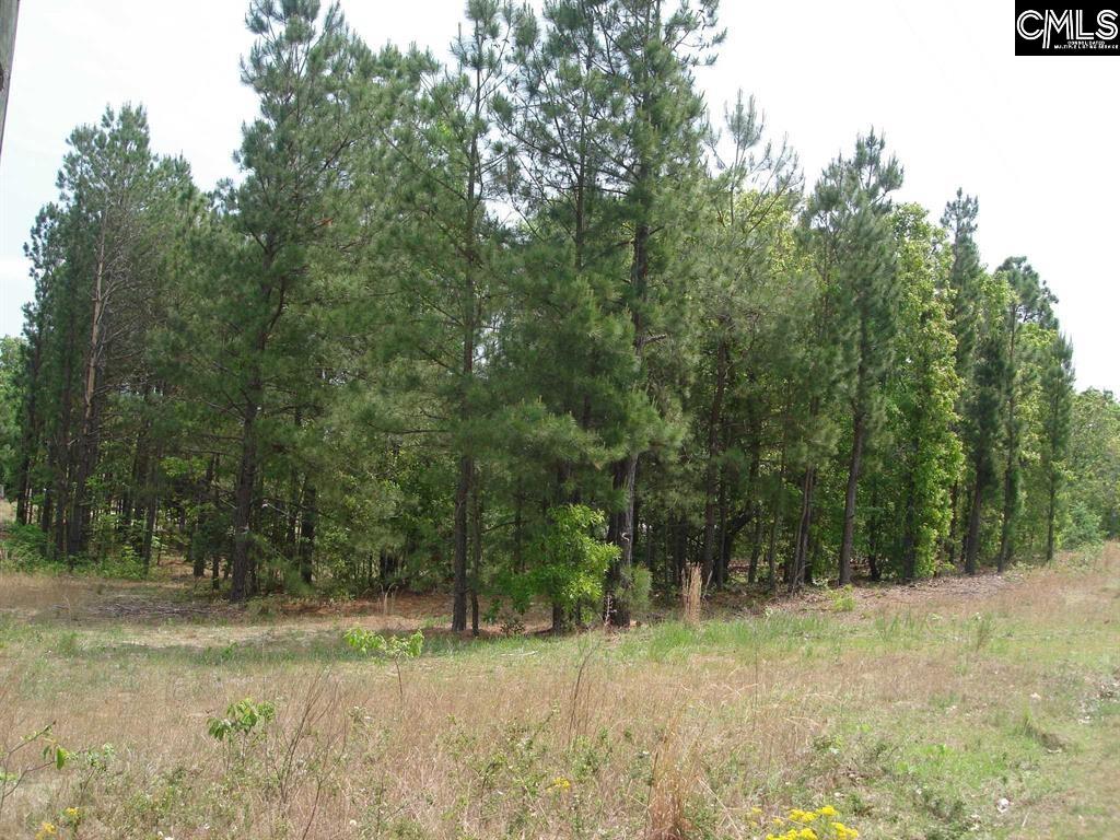 1398 Charlie Johnson Road UNIT #4 Kershaw, SC 29067