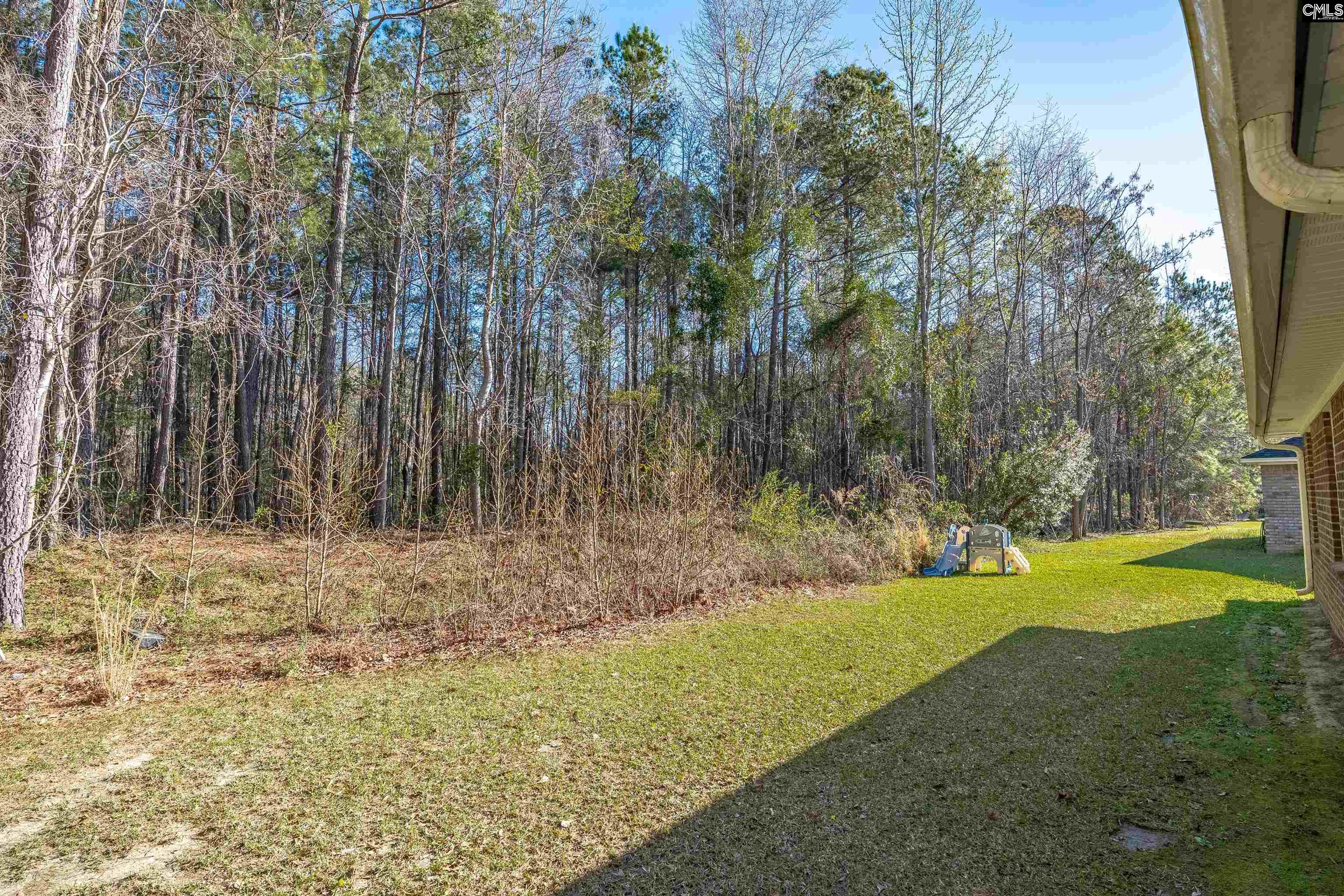 597 Waterlily Drive, Sumter, South Carolina image 32