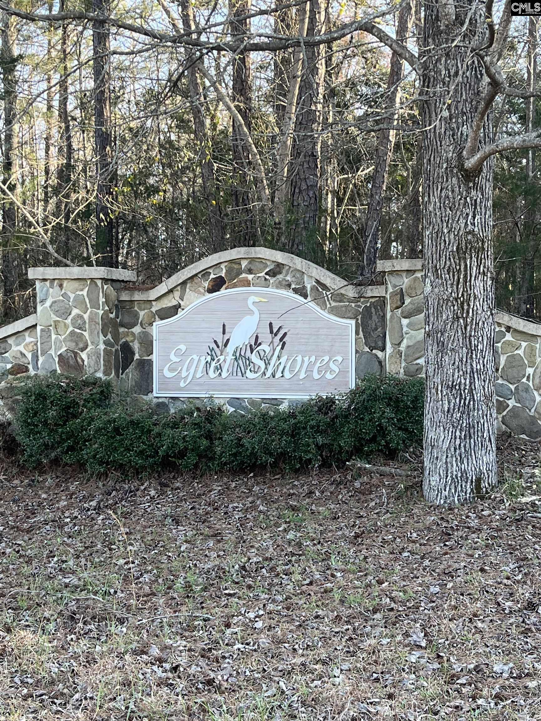 1704 Antioch Cemetery Rd, Ridgeway, South Carolina image 2