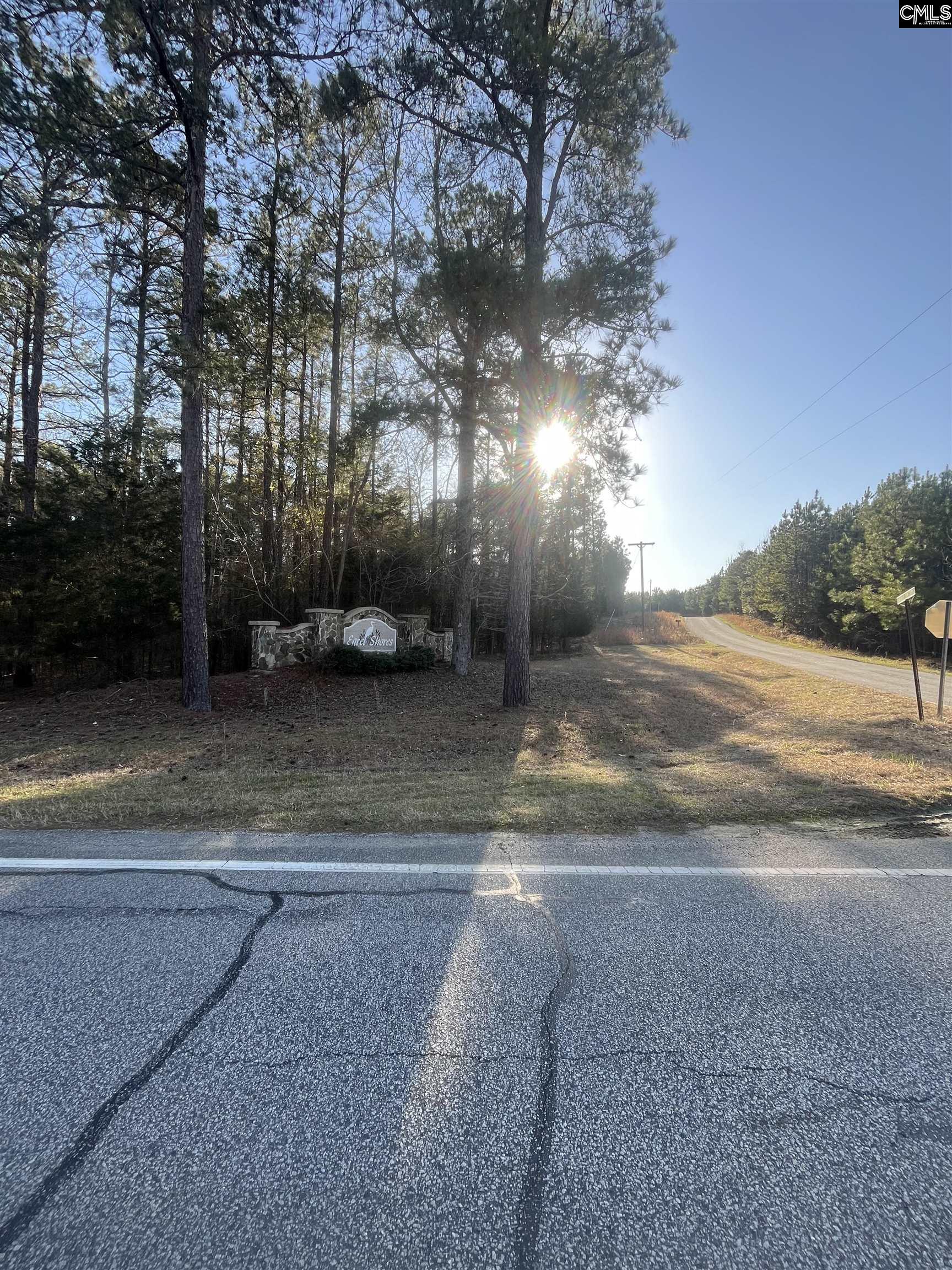 1704 Antioch Cemetery Rd, Ridgeway, South Carolina image 3