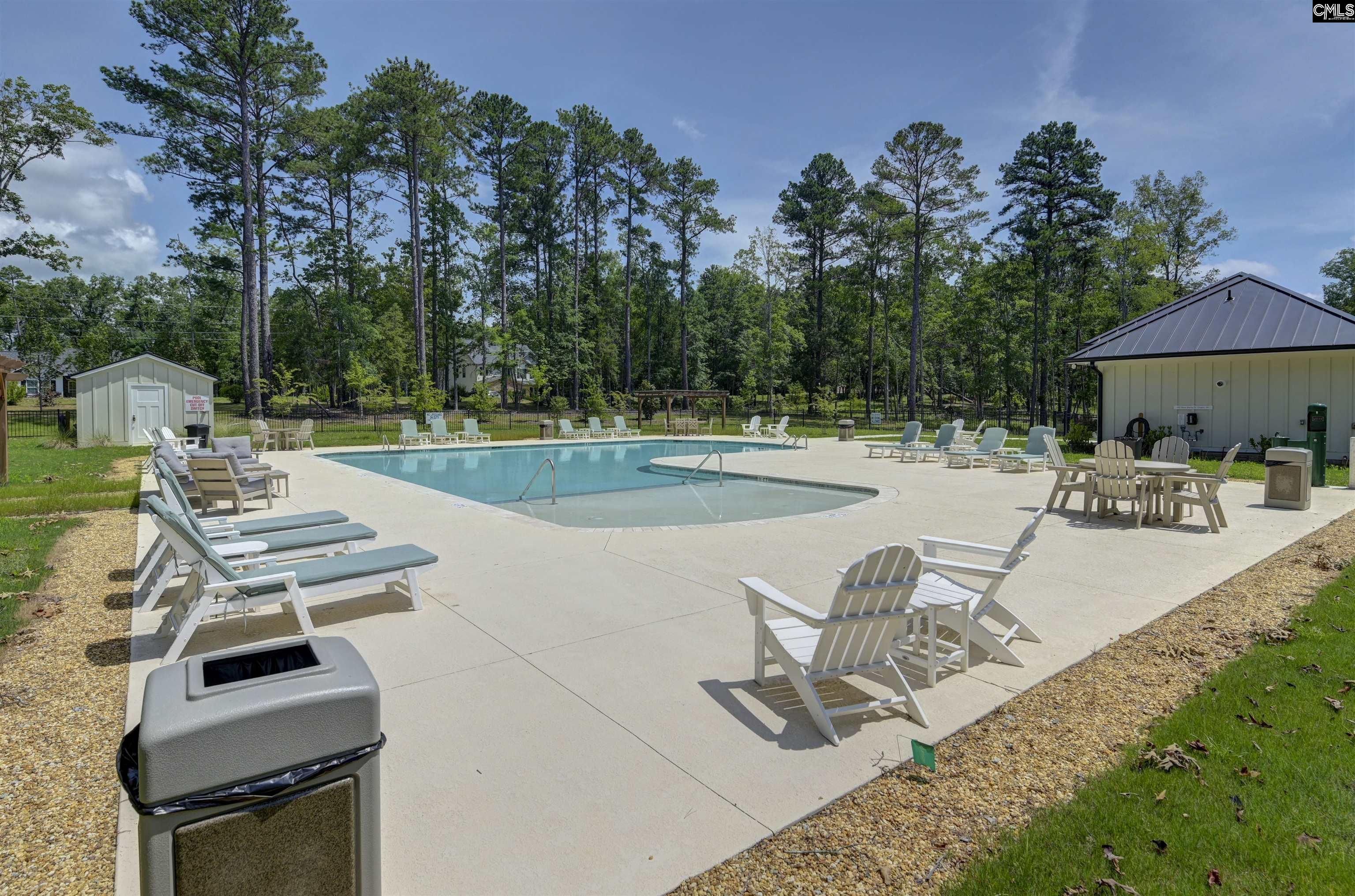 616 Misty Banks Drive Chapin, SC 29036