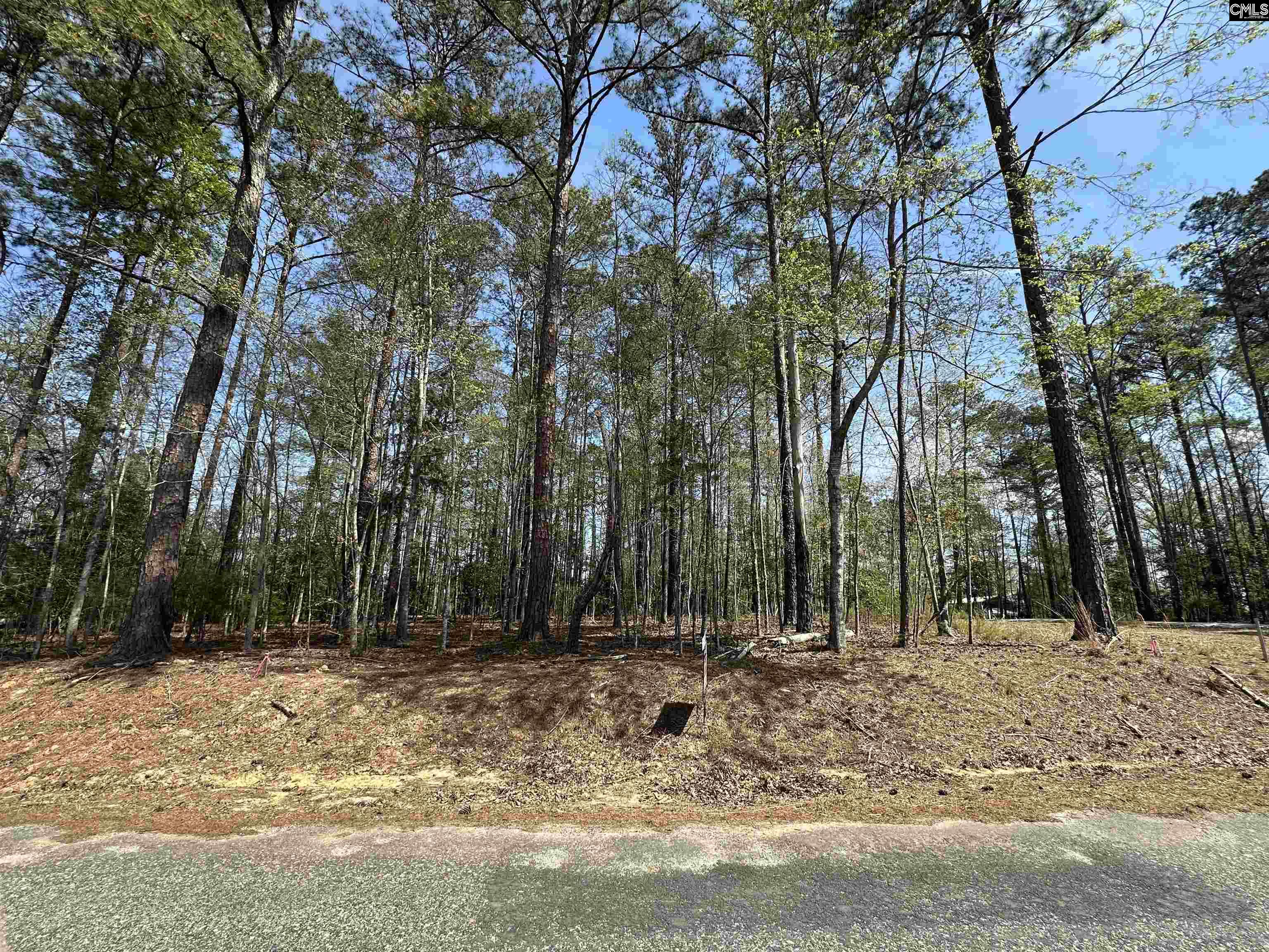 Grant Drive UNIT #10 Prosperity, SC 29127-0000