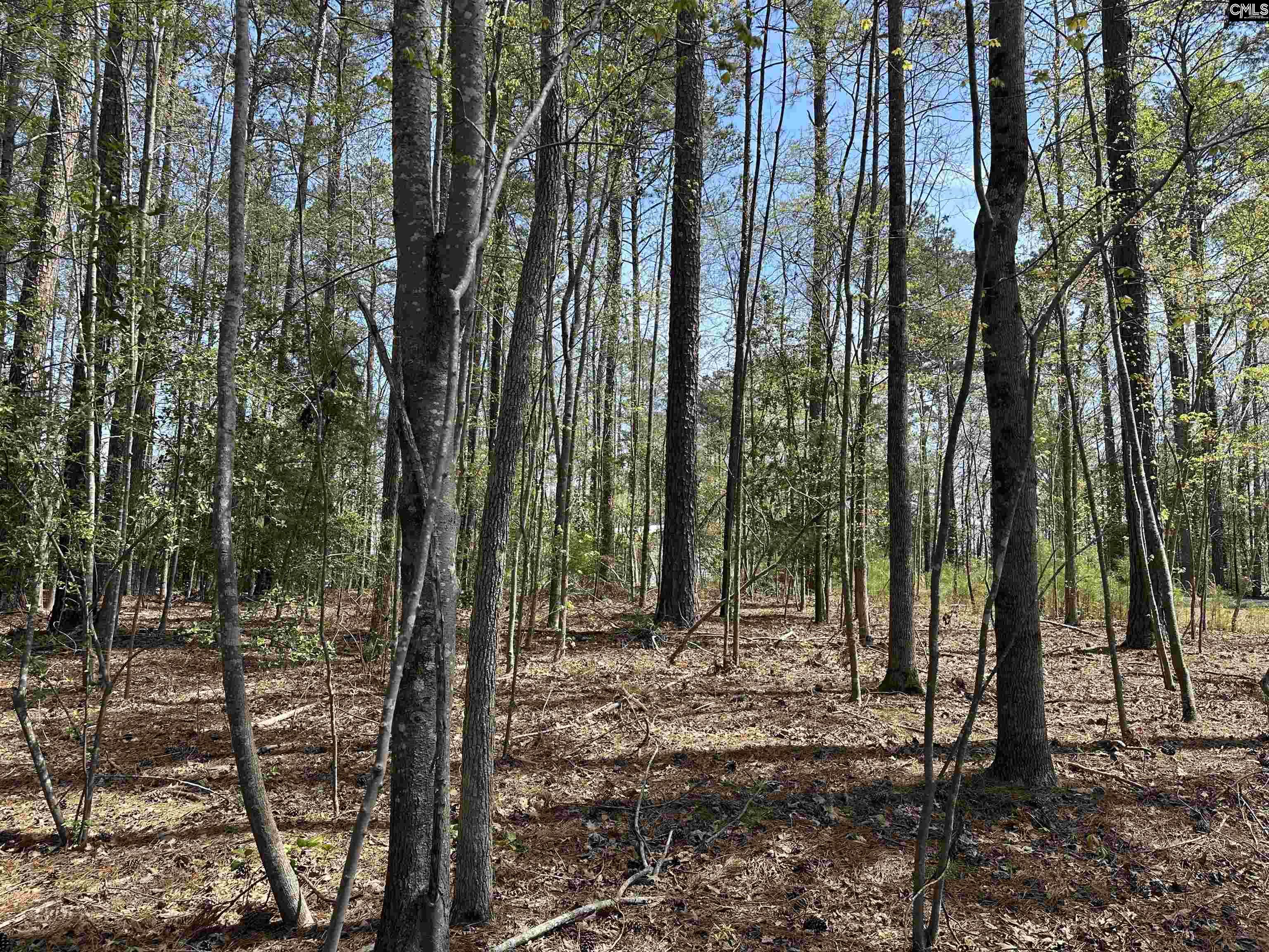 Grant Drive UNIT #10 Prosperity, SC 29127-0000