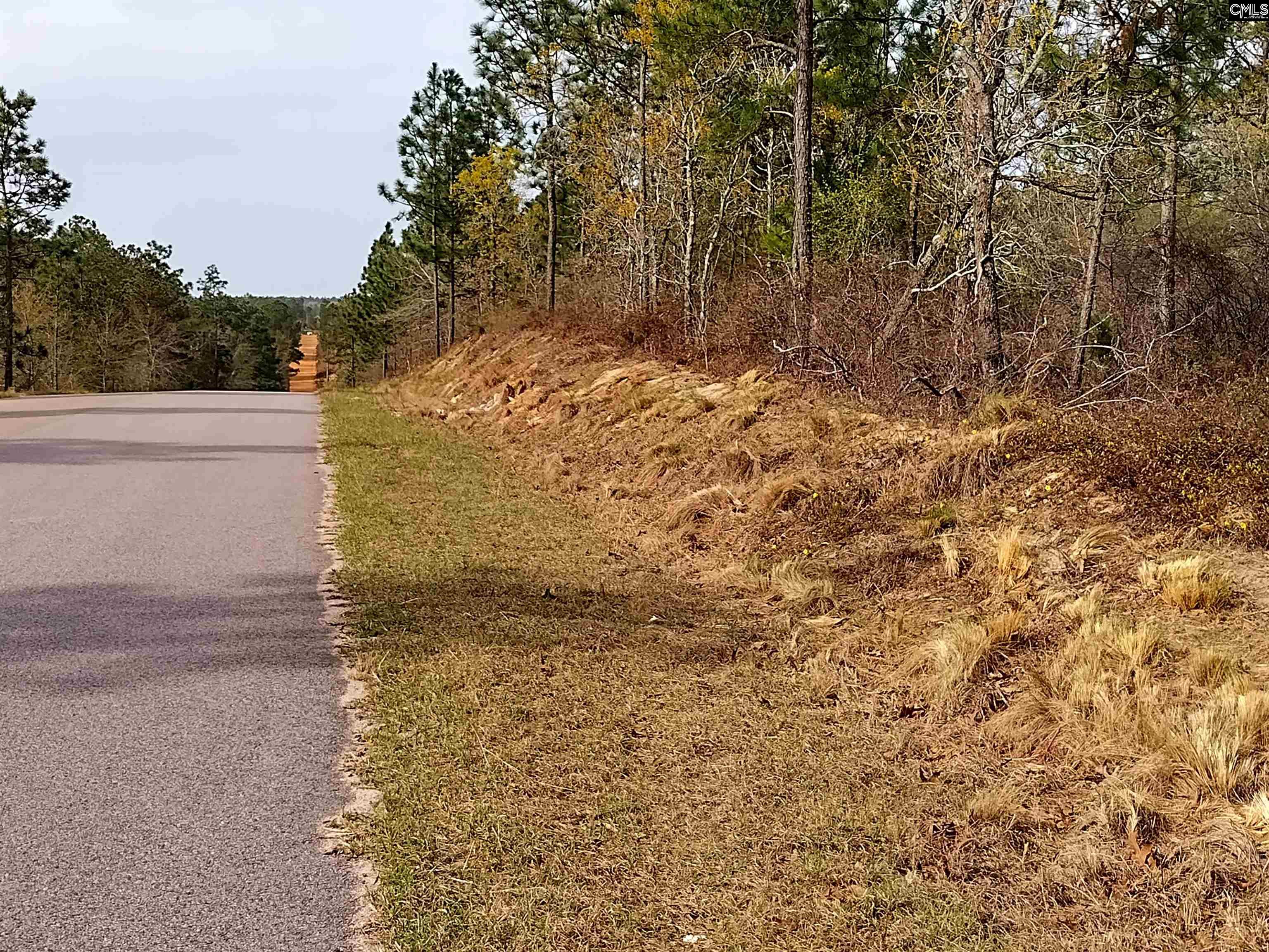 541 Holder Road, Batesburg, South Carolina image 2