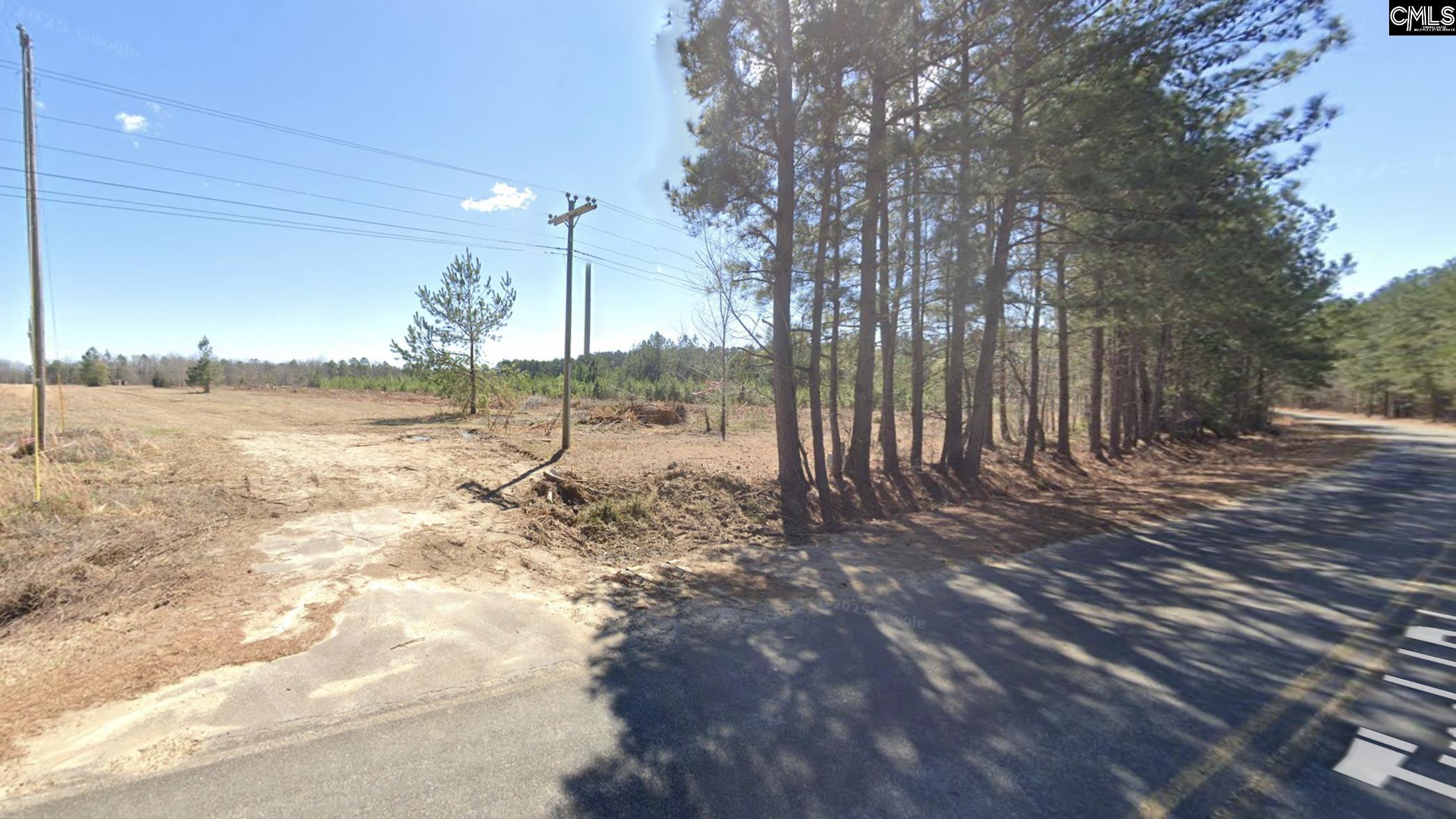 881 Tindal Road, Pelion, South Carolina image 4