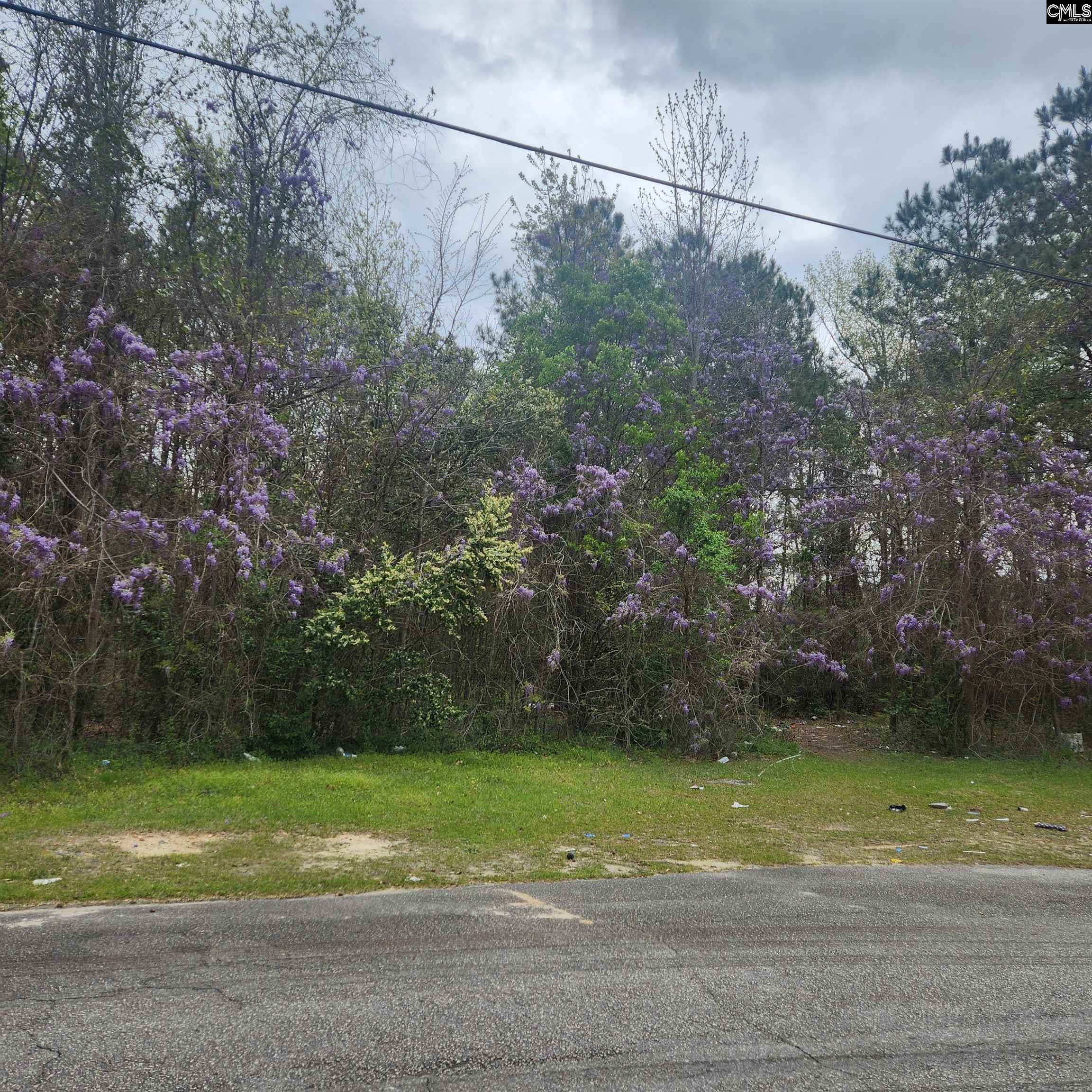 6430 Norris Street Columbia, SC 29209