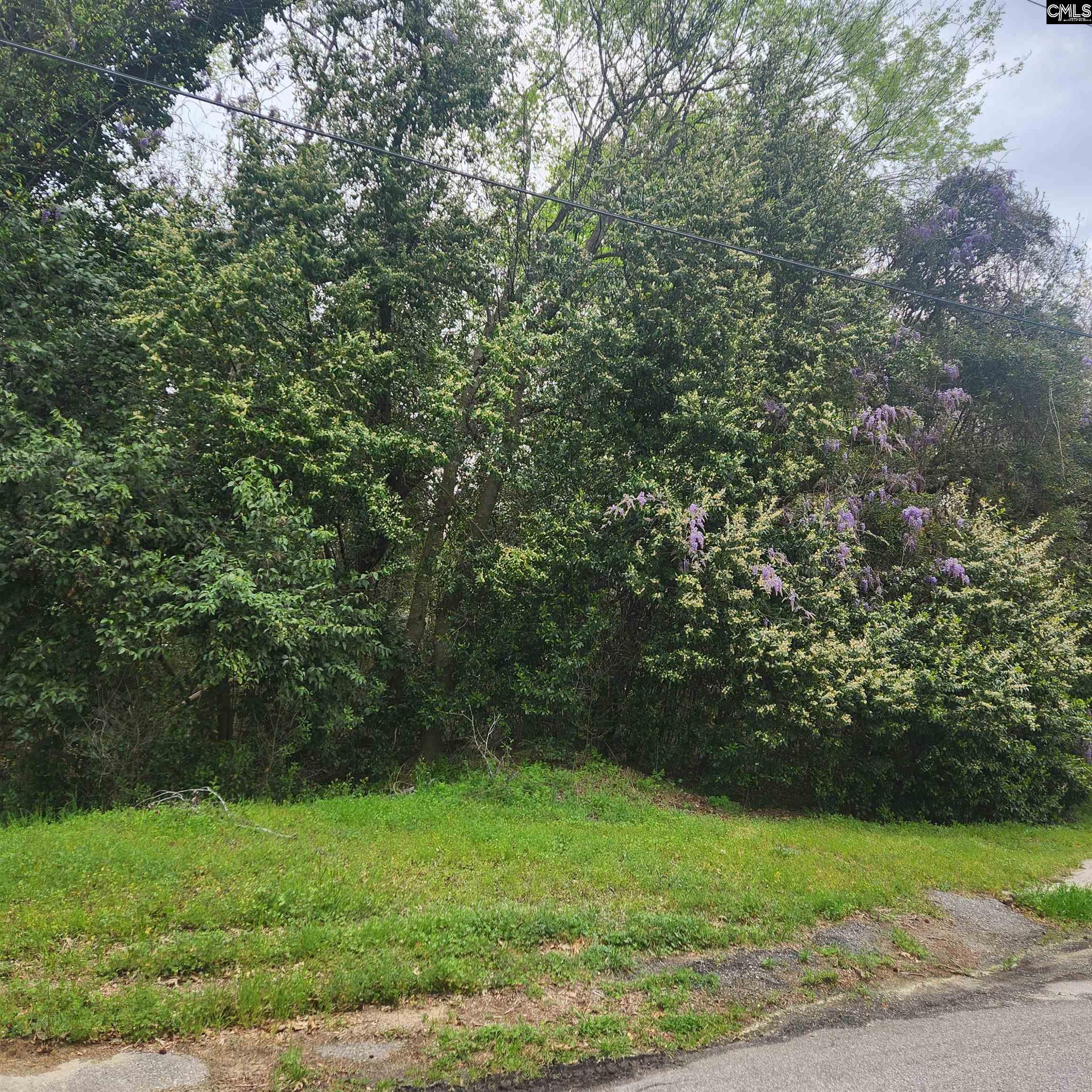 6430 Norris Street Columbia, SC 29209