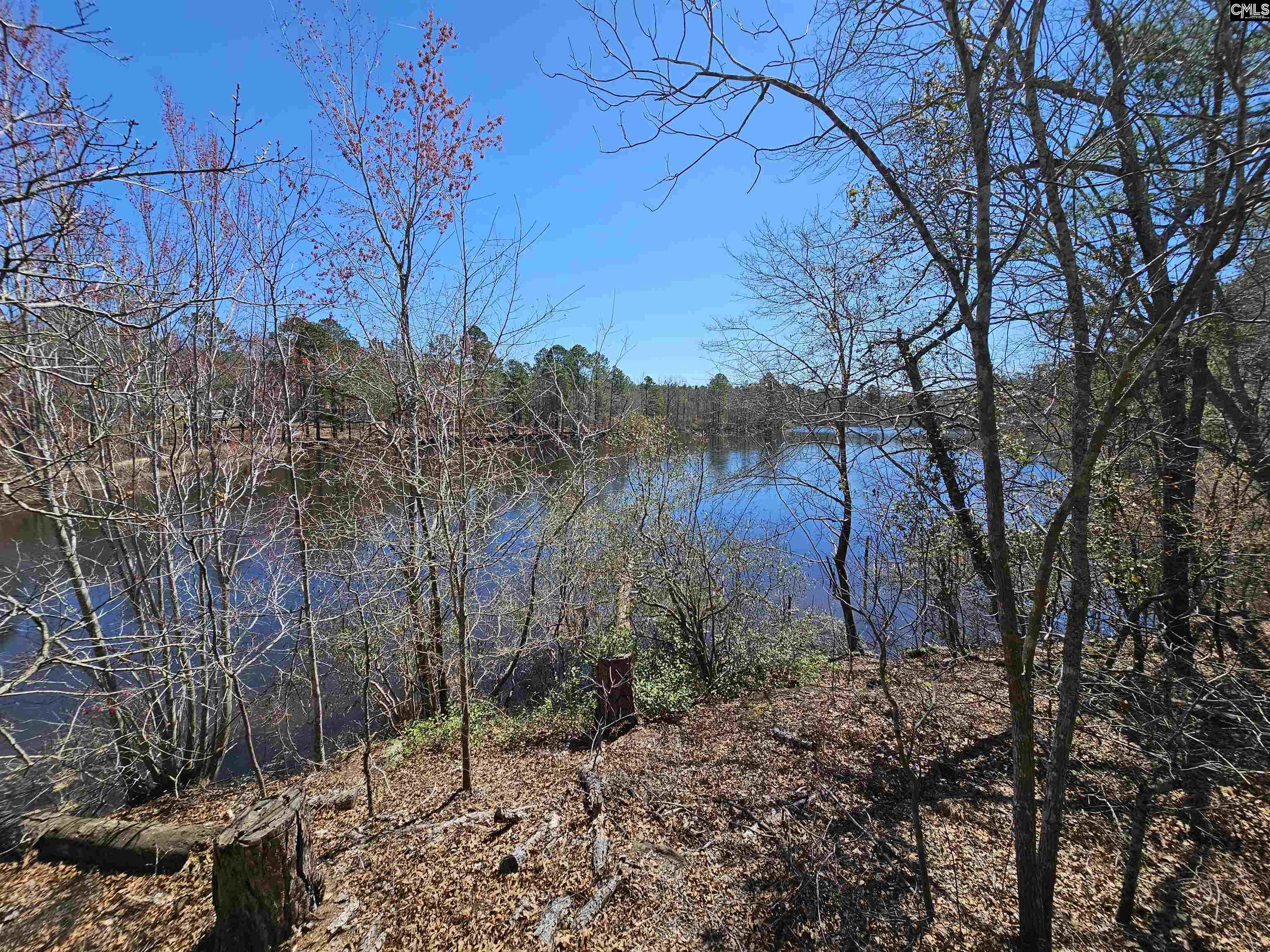 1234 Woodtrail Drive, Gaston, South Carolina image 27