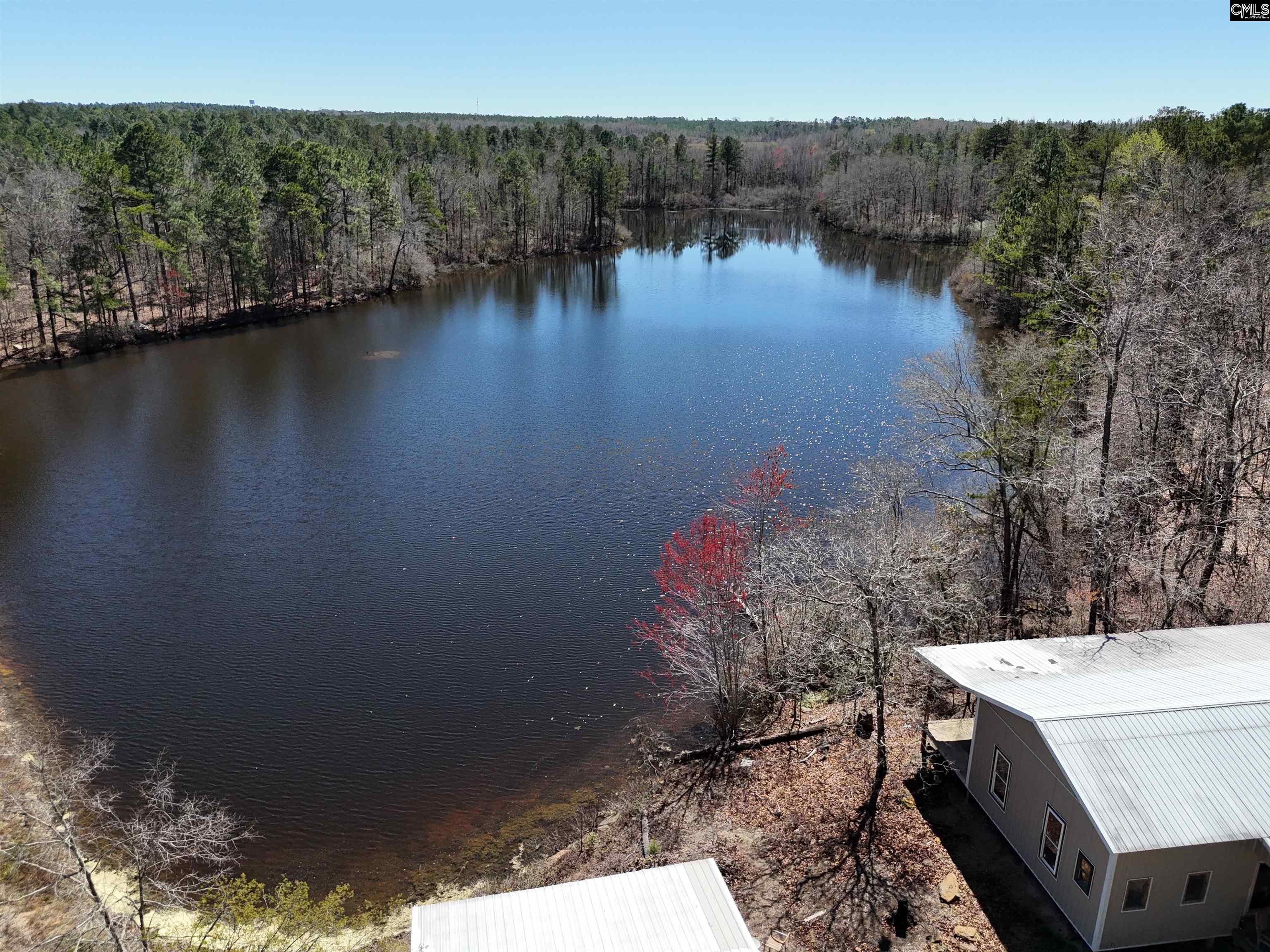 1234 Woodtrail Drive, Gaston, South Carolina image 5