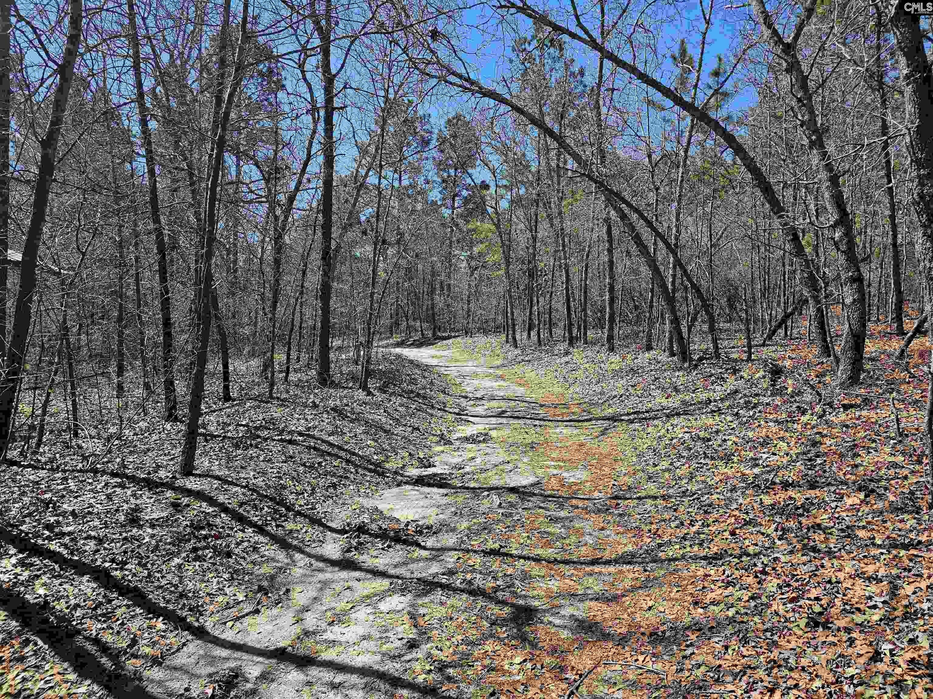 1234 Woodtrail Drive, Gaston, South Carolina image 43