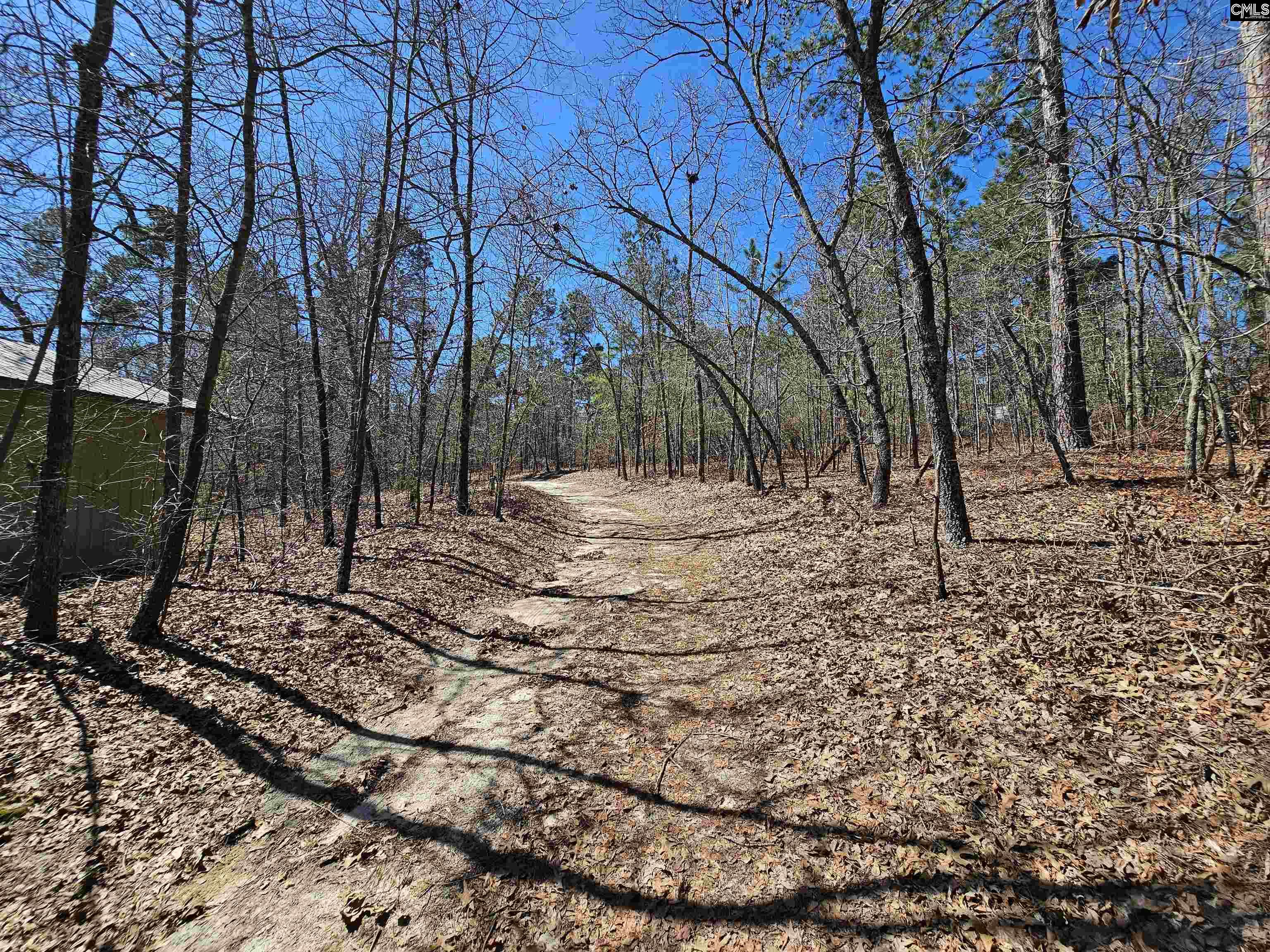 1234 Woodtrail Drive, Gaston, South Carolina image 44
