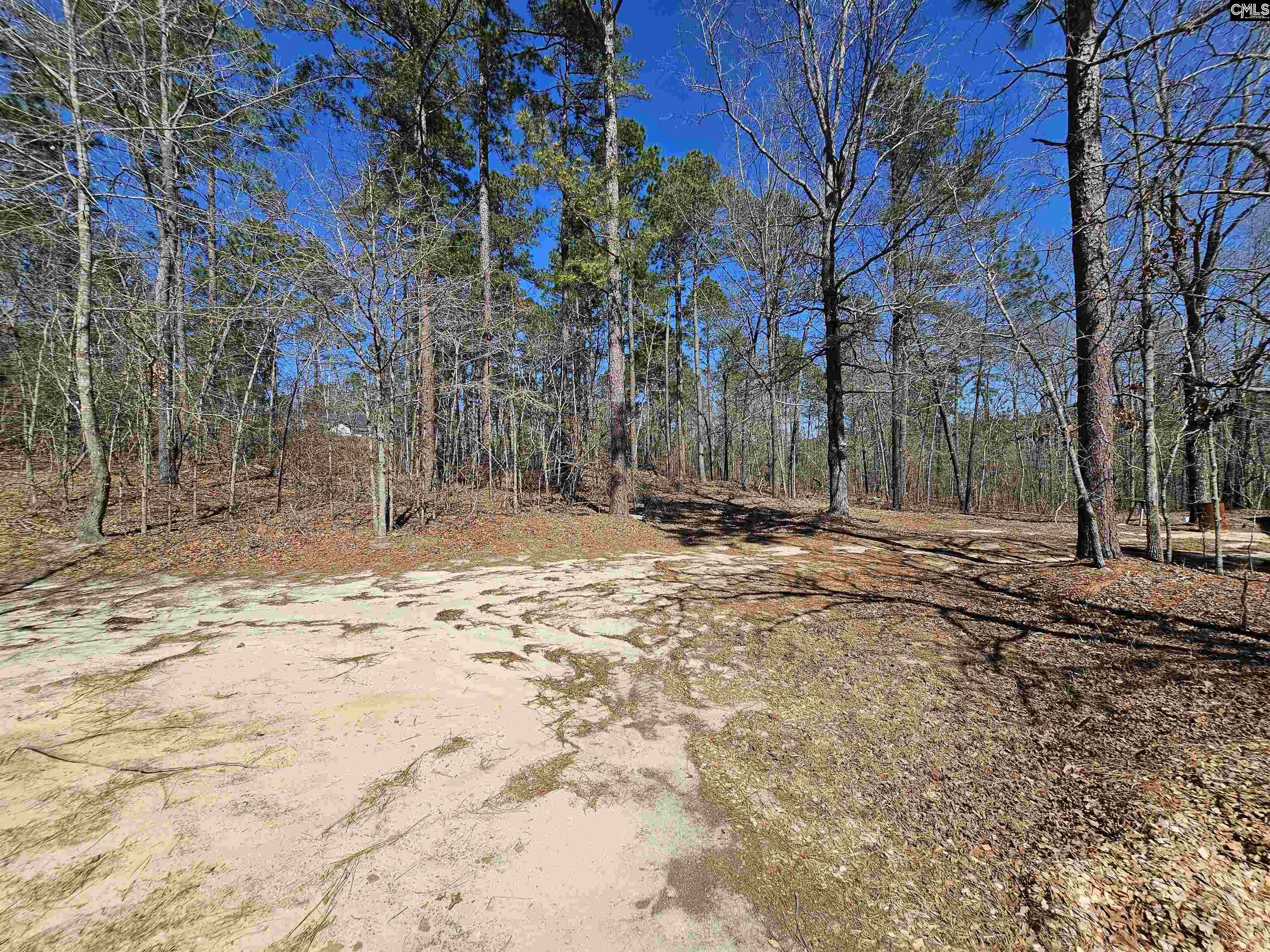 1234 Woodtrail Drive, Gaston, South Carolina image 45
