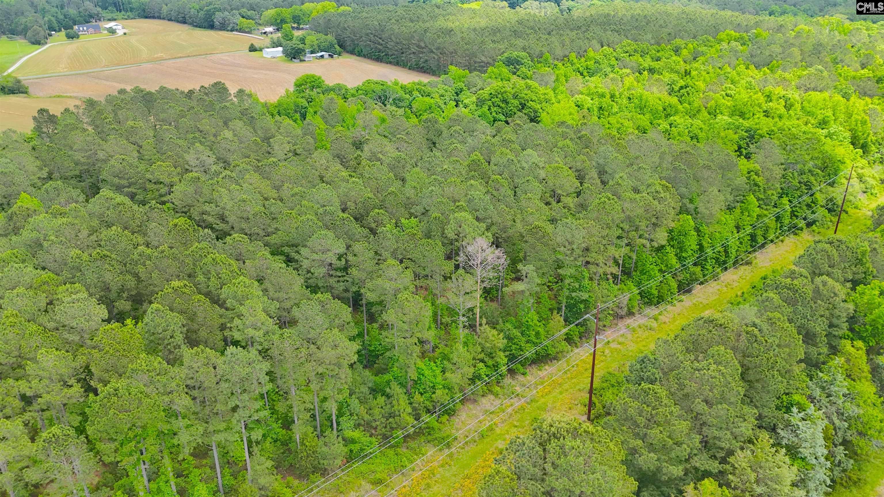 Holley Ferry Road Leesville, SC 29070