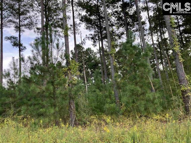 Holley Ferry Road Leesville, SC 29070