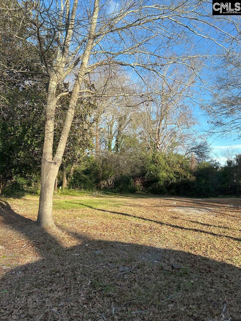 1833 Isabel Street Columbia, SC 29203