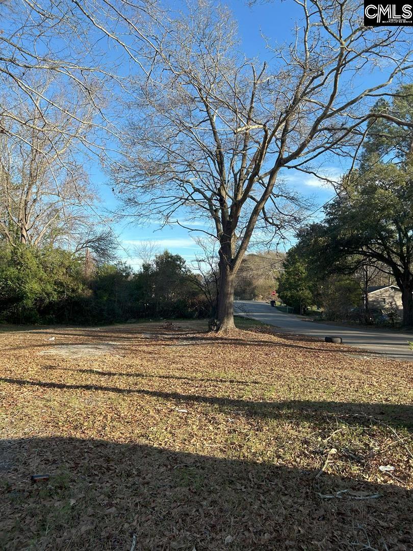 1833 Isabel Street Columbia, SC 29203