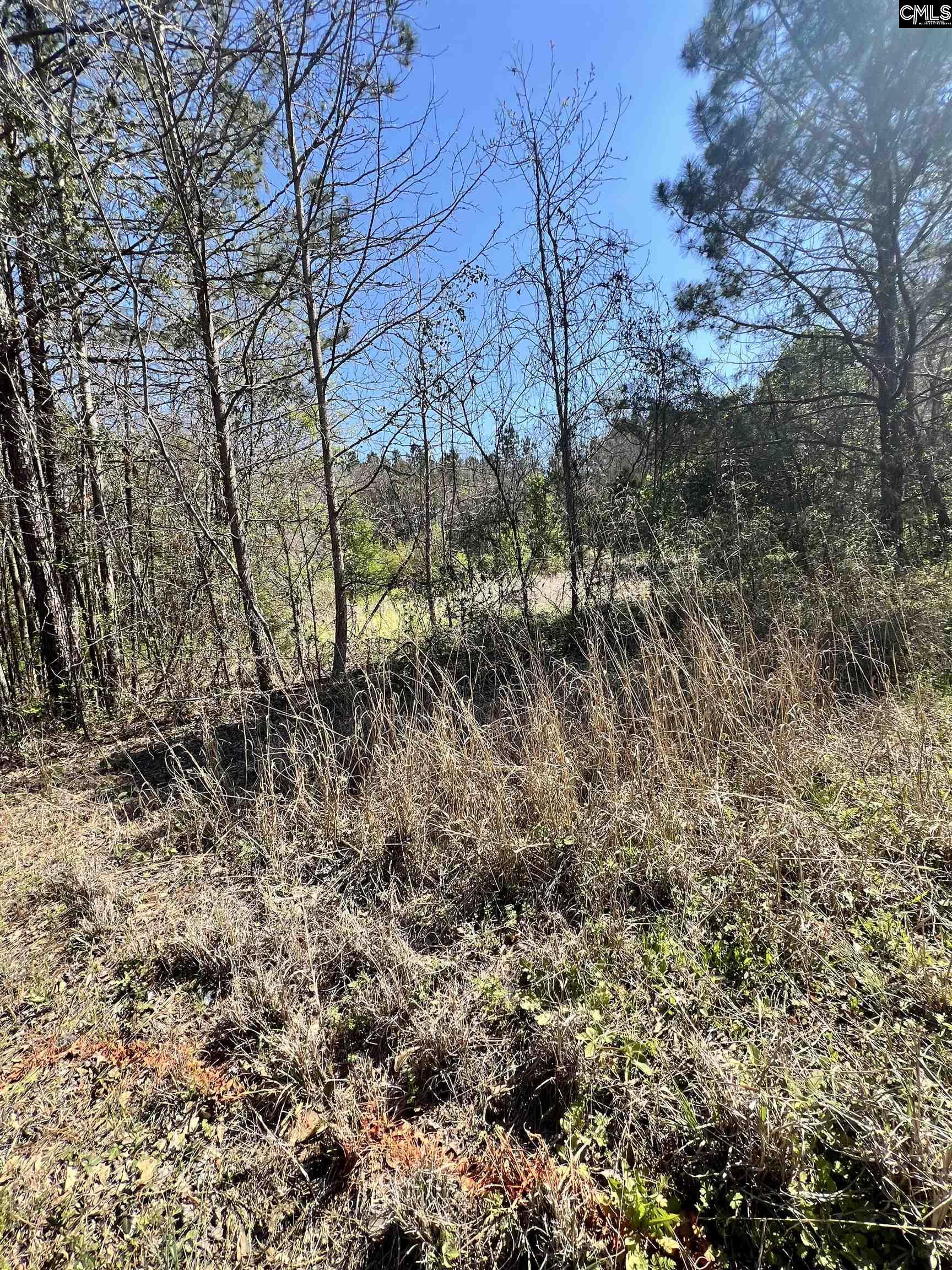 E S Fairfield Rd, Columbia, South Carolina image 3