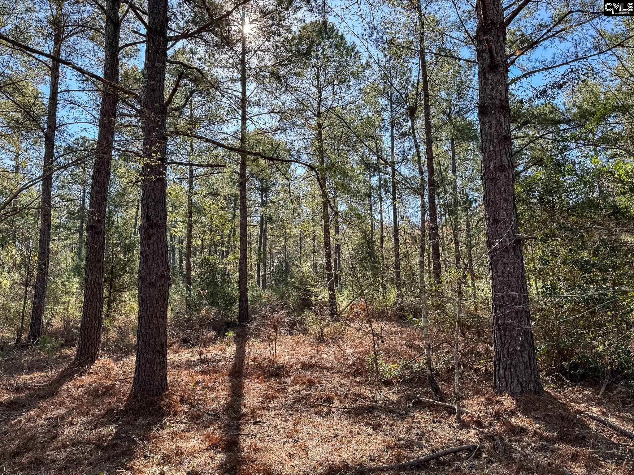 341 Tarpon Road #LOT 1, Leesville, South Carolina image 2
