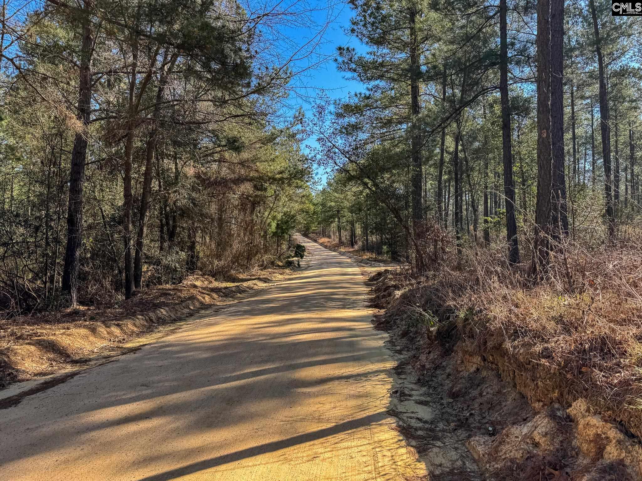 341 Tarpon Road #LOT 1, Leesville, South Carolina image 3