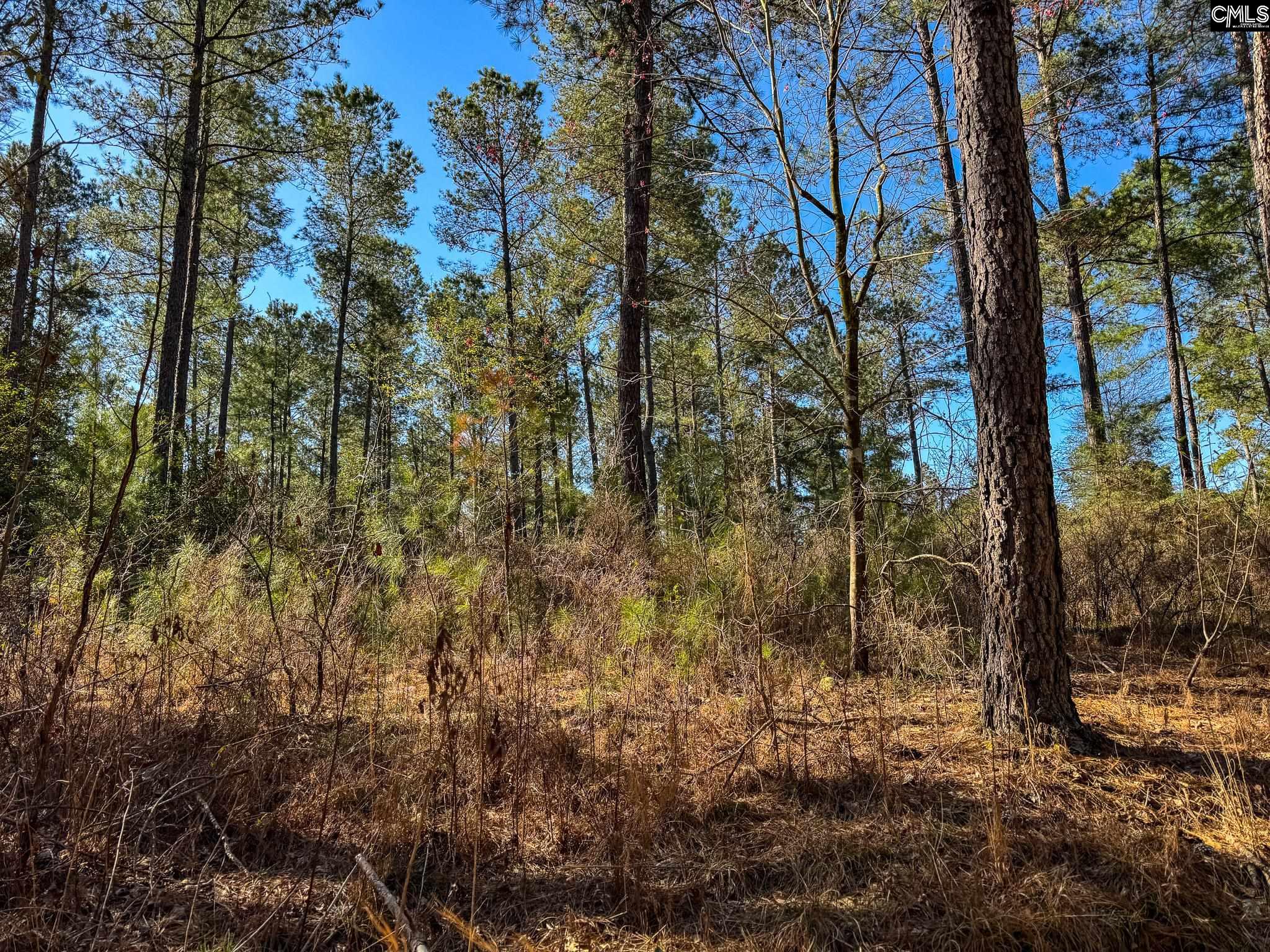341 Tarpon Road #LOT 1, Leesville, South Carolina image 4