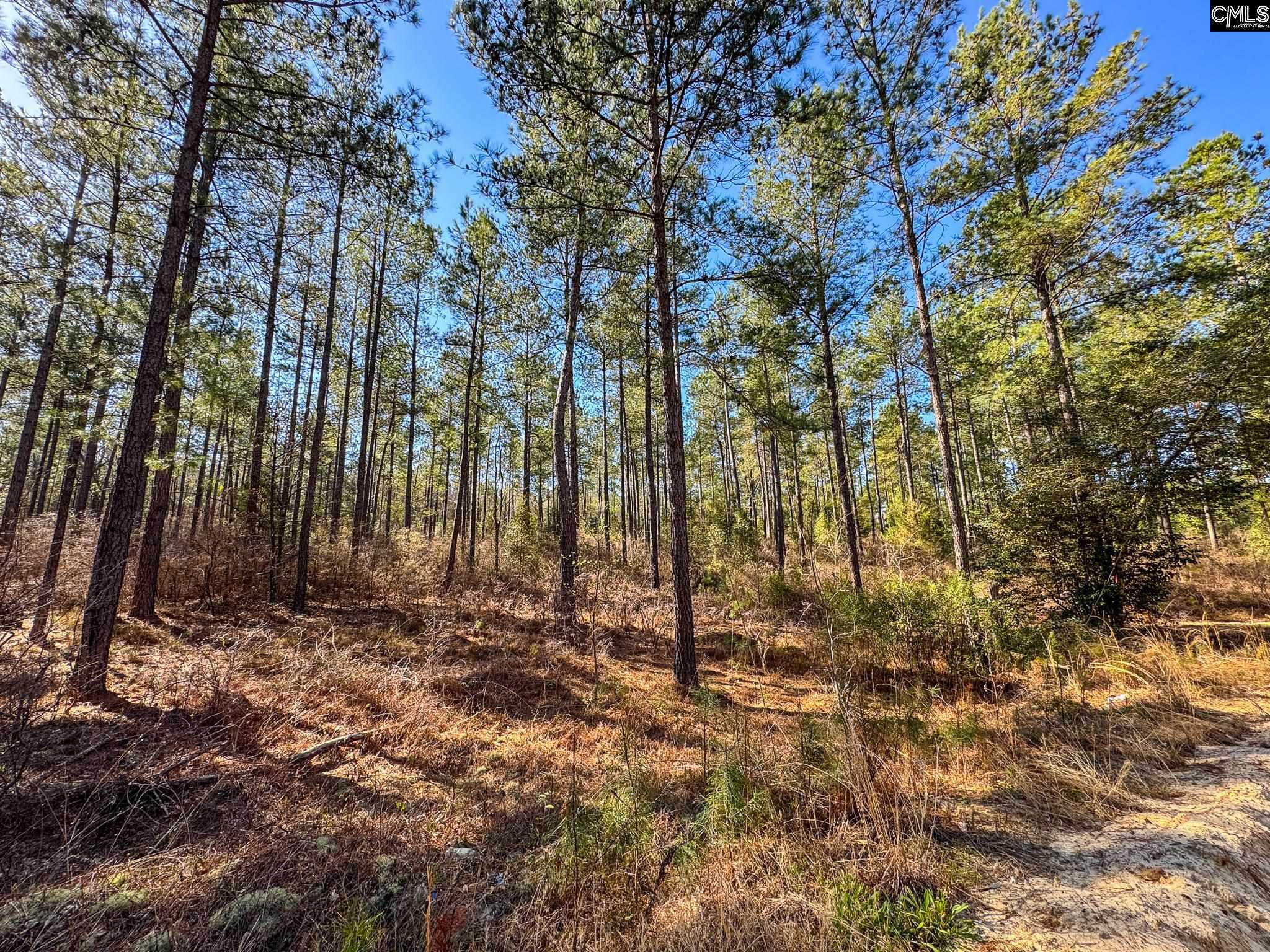 341 Tarpon Road #LOT 1, Leesville, South Carolina image 5