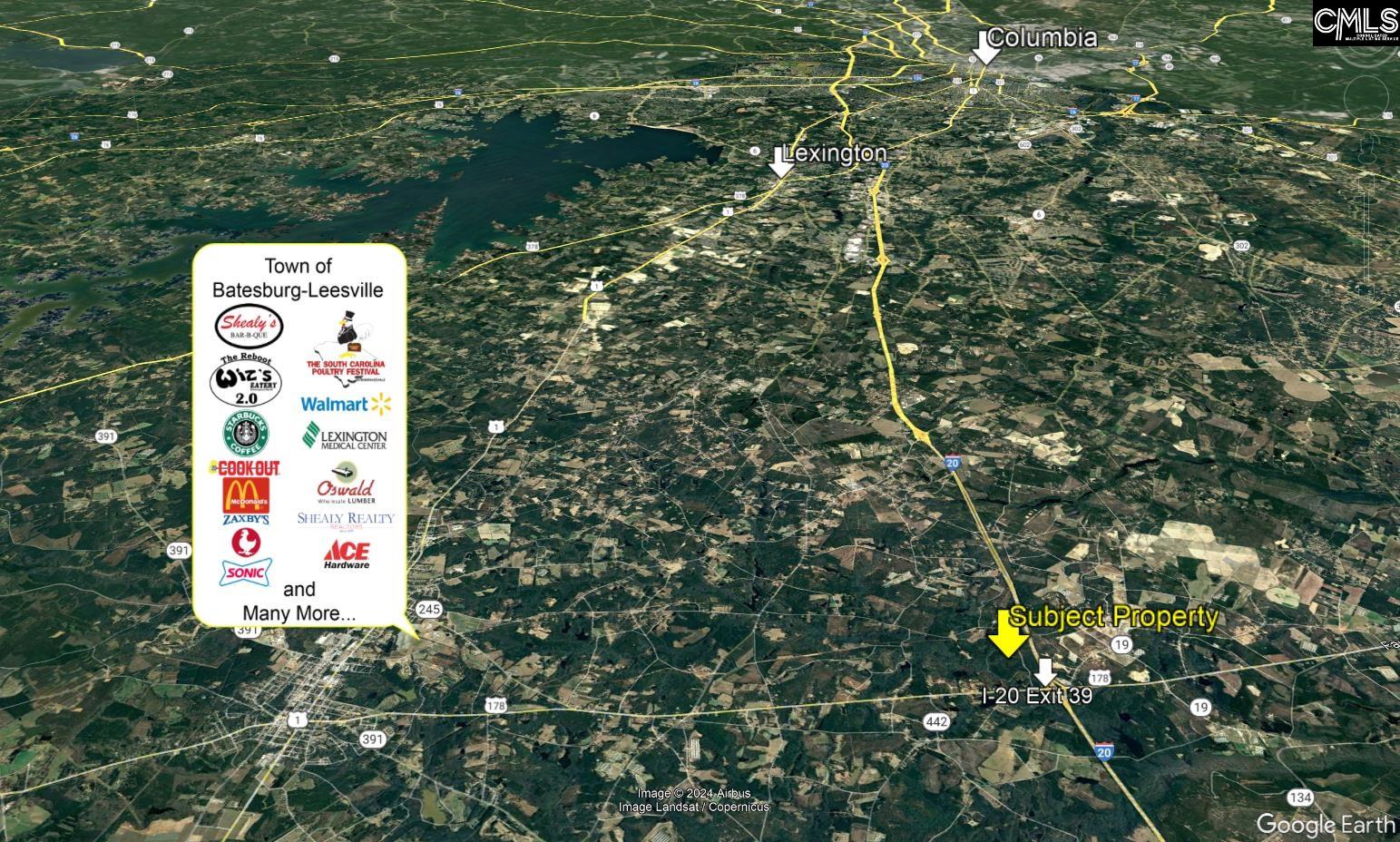 341 Tarpon Road #LOT 1, Leesville, South Carolina image 6
