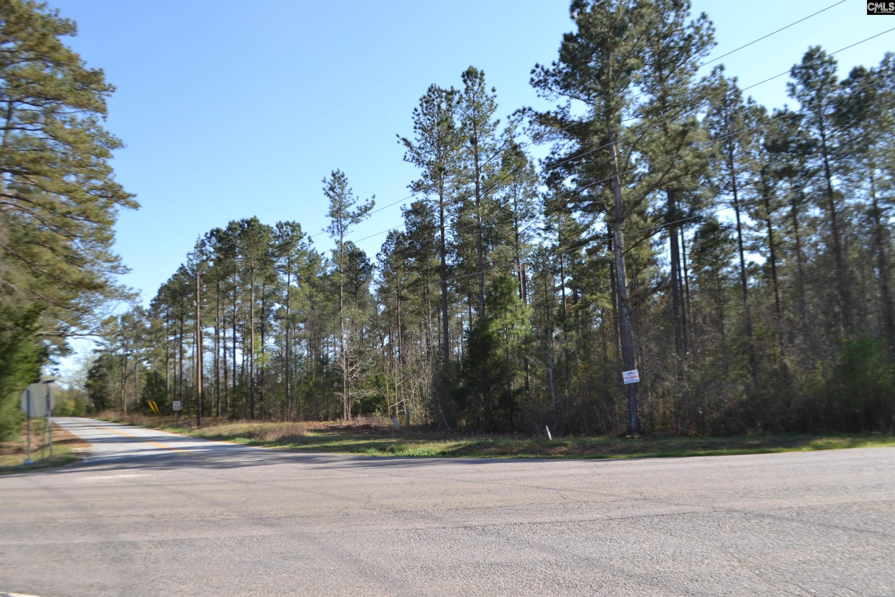 Columbia Hwy, Saluda, South Carolina image 3