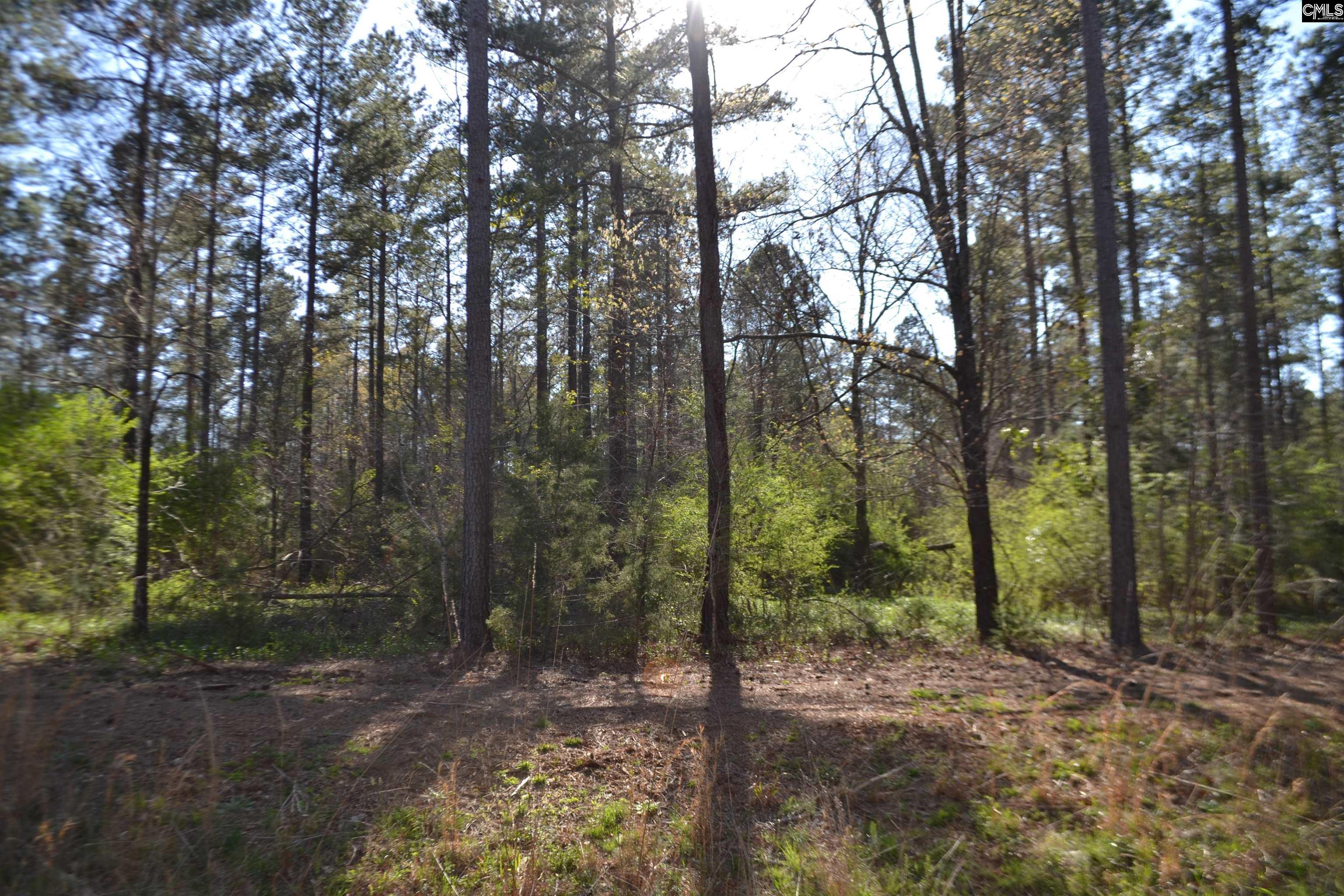 Columbia Hwy, Saluda, South Carolina image 6