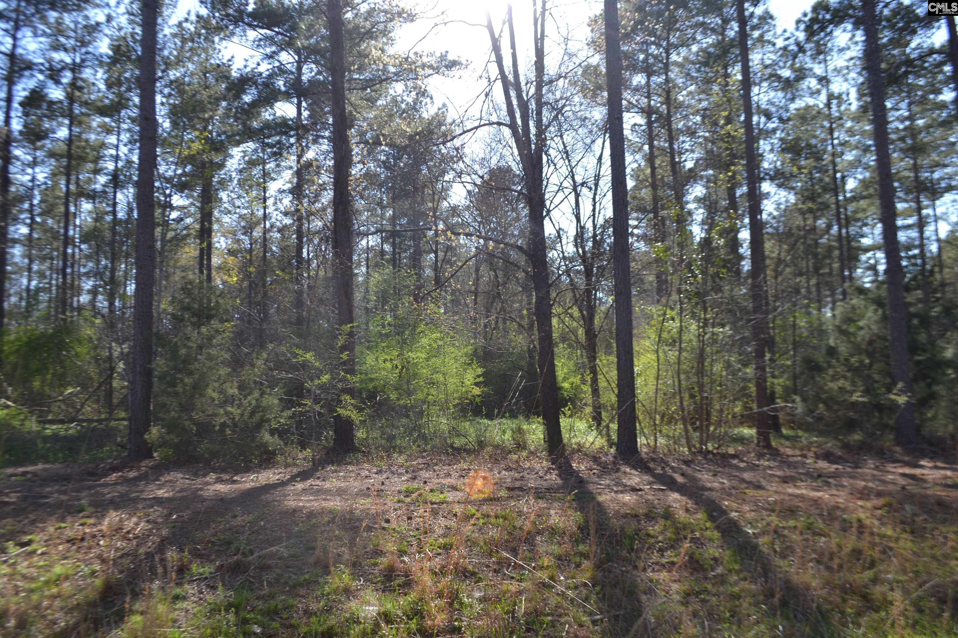 Columbia Hwy, Saluda, South Carolina image 7