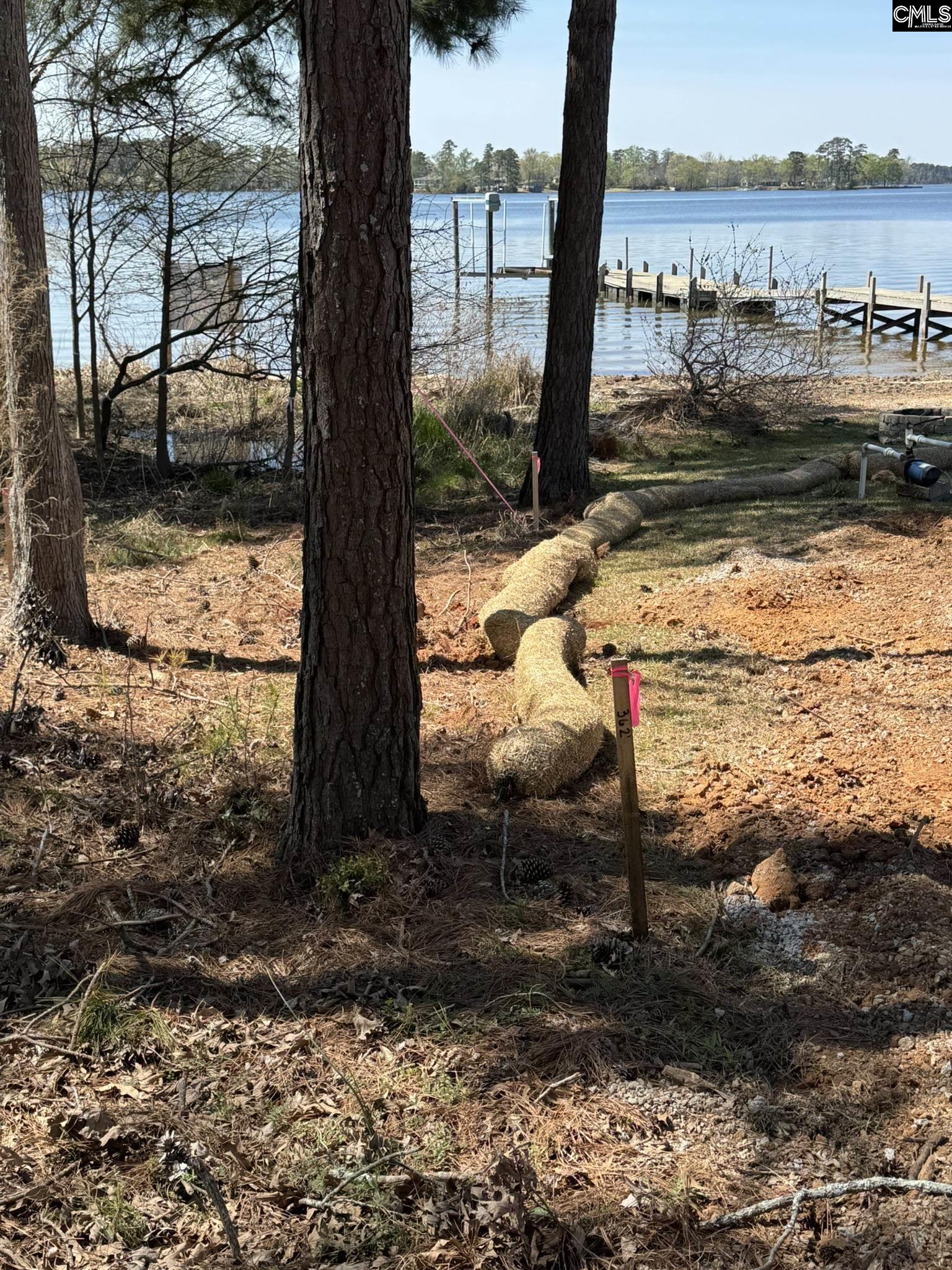 1225 Peninsula Drive, Prosperity, South Carolina image 21