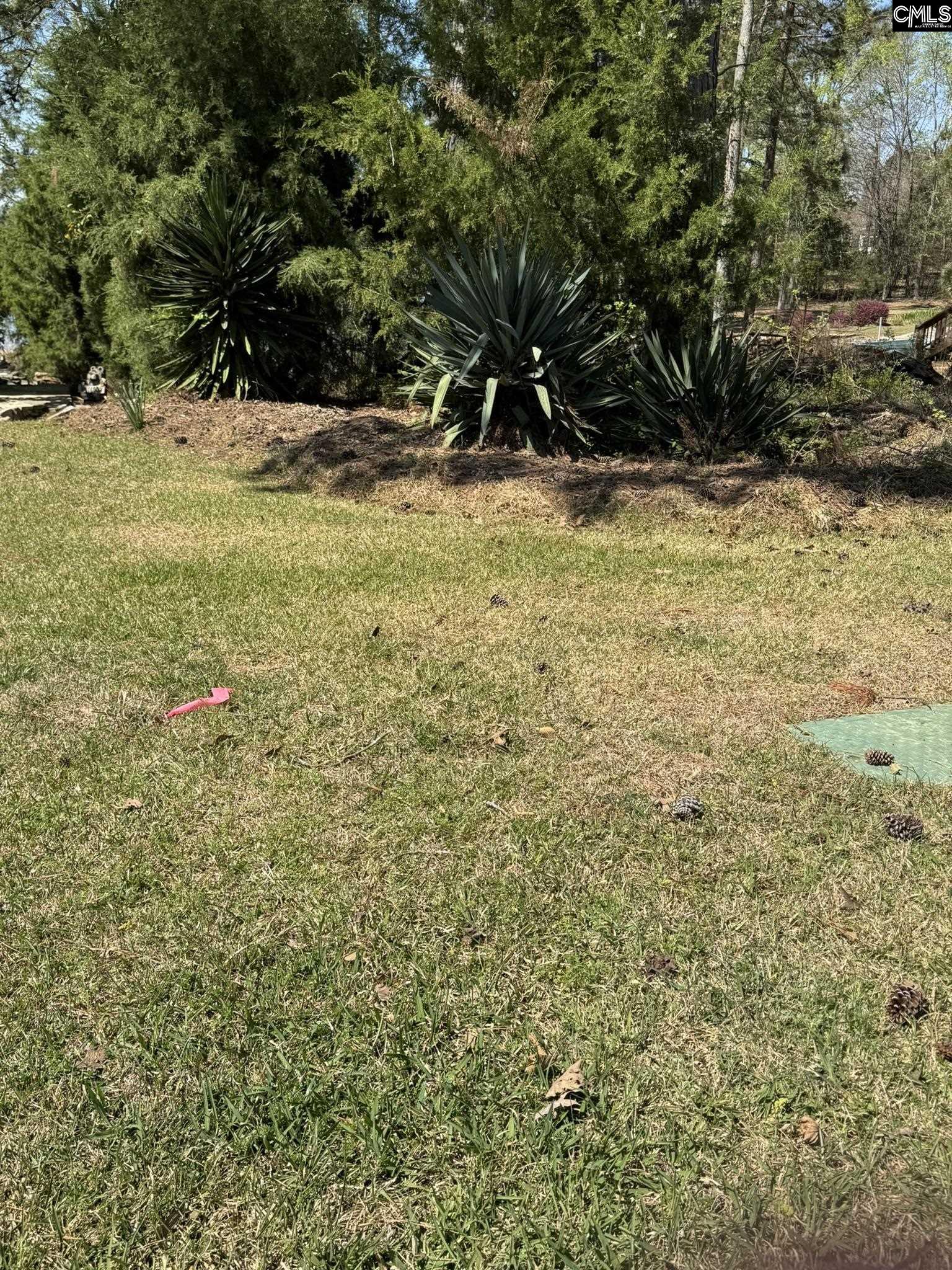 1225 Peninsula Drive, Prosperity, South Carolina image 24