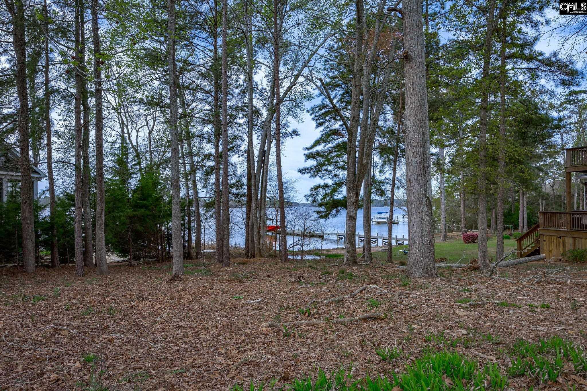 1225 Peninsula Drive, Prosperity, South Carolina image 5
