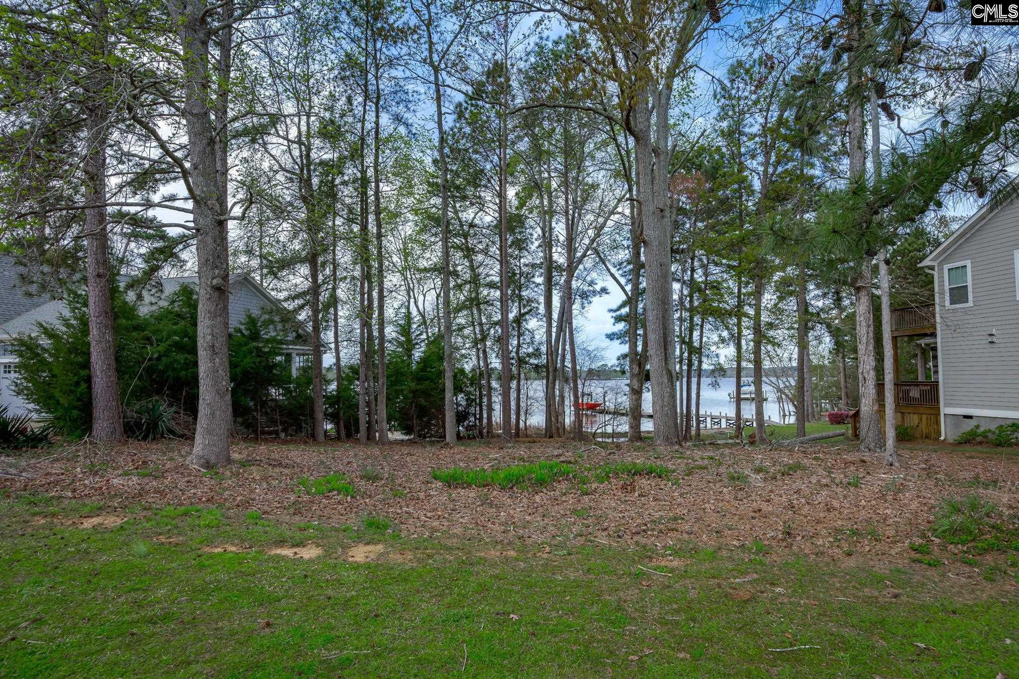 1225 Peninsula Drive, Prosperity, South Carolina image 6