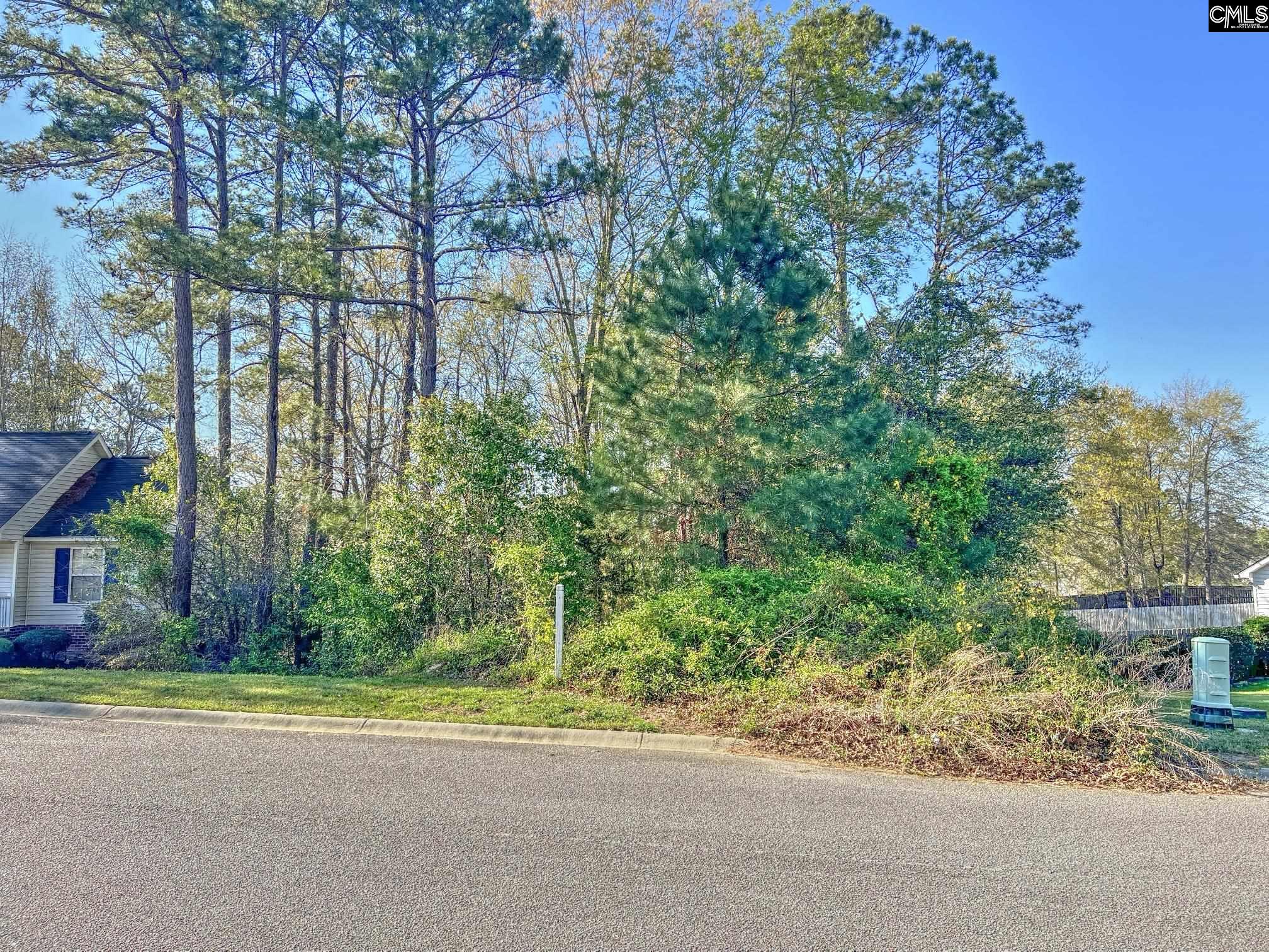 313 Downs Drive Columbia, SC 29209