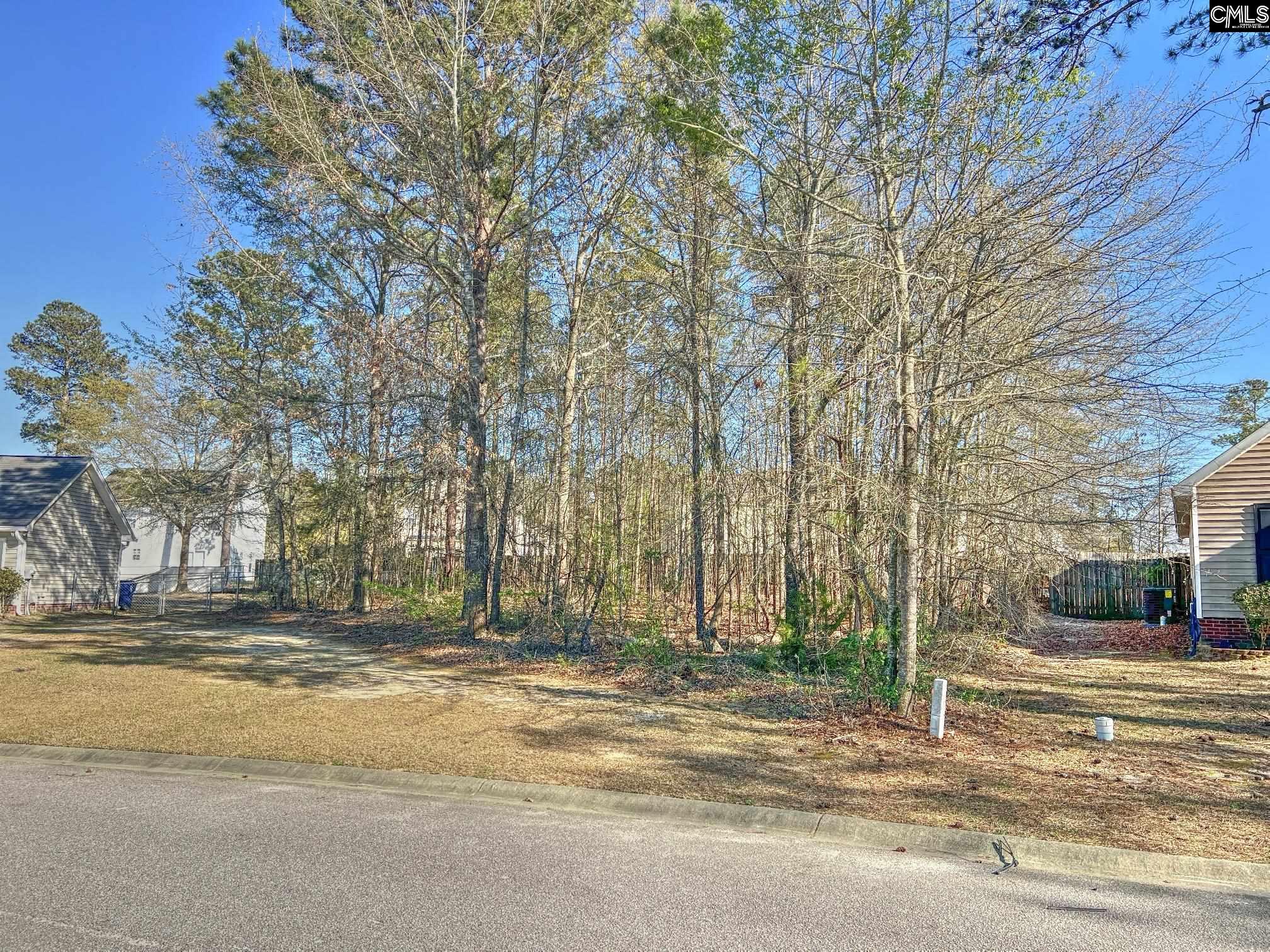 314 Downs Drive Columbia, SC 29209