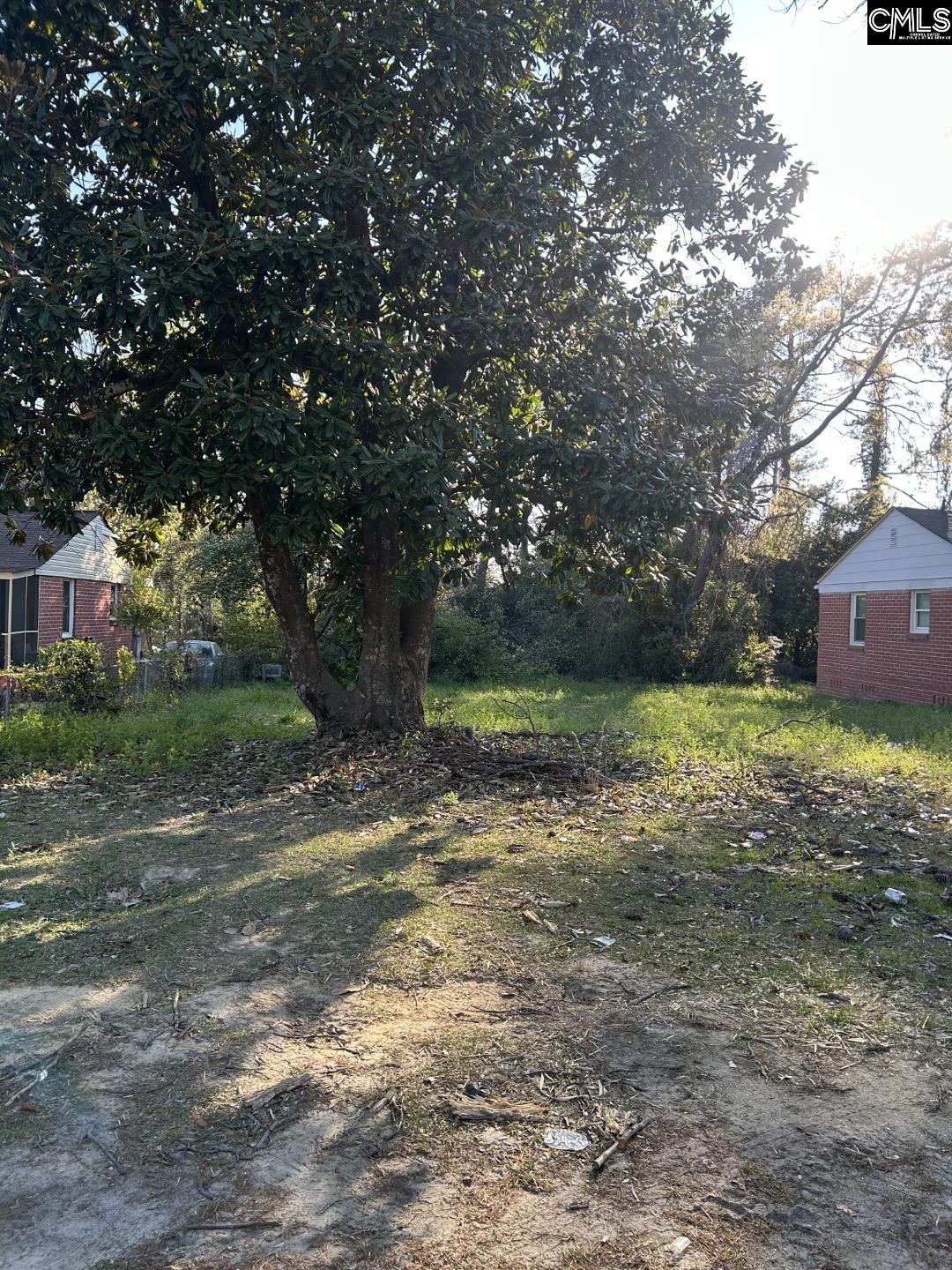 805 Tremont Avenue Columbia, SC 29203