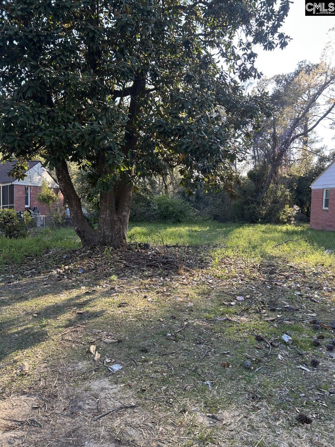 805 Tremont Avenue Columbia, SC 29203