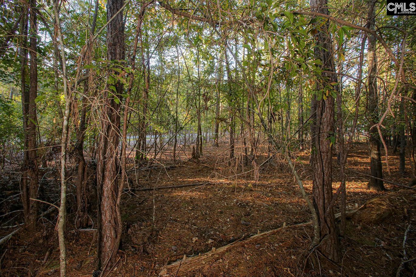 000 Hamms Landing Road, Prosperity, South Carolina image 15