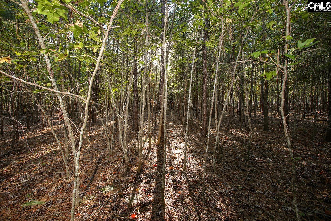 000 Hamms Landing Road, Prosperity, South Carolina image 26