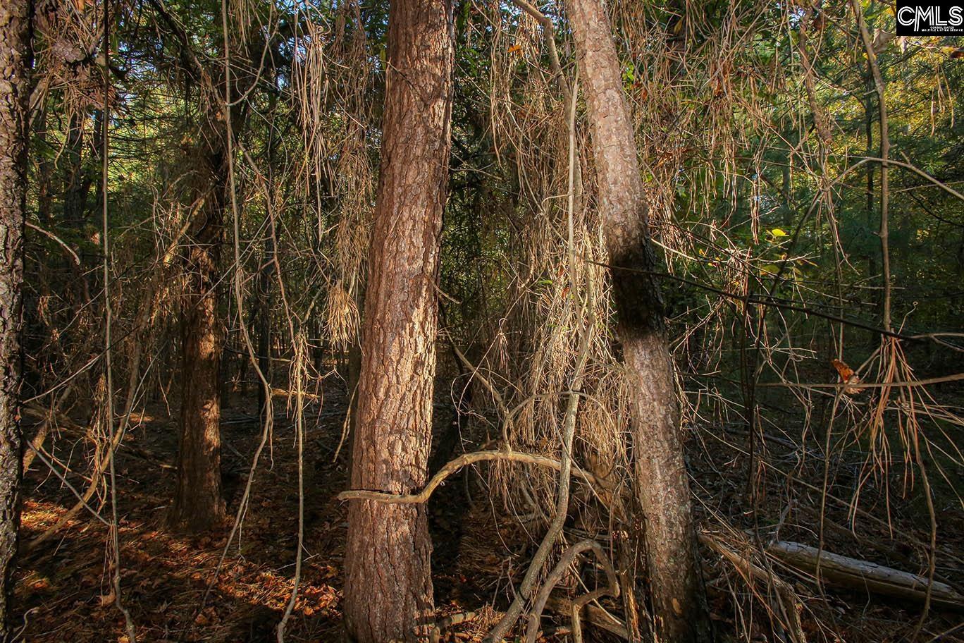 000 Hamms Landing Road, Prosperity, South Carolina image 30