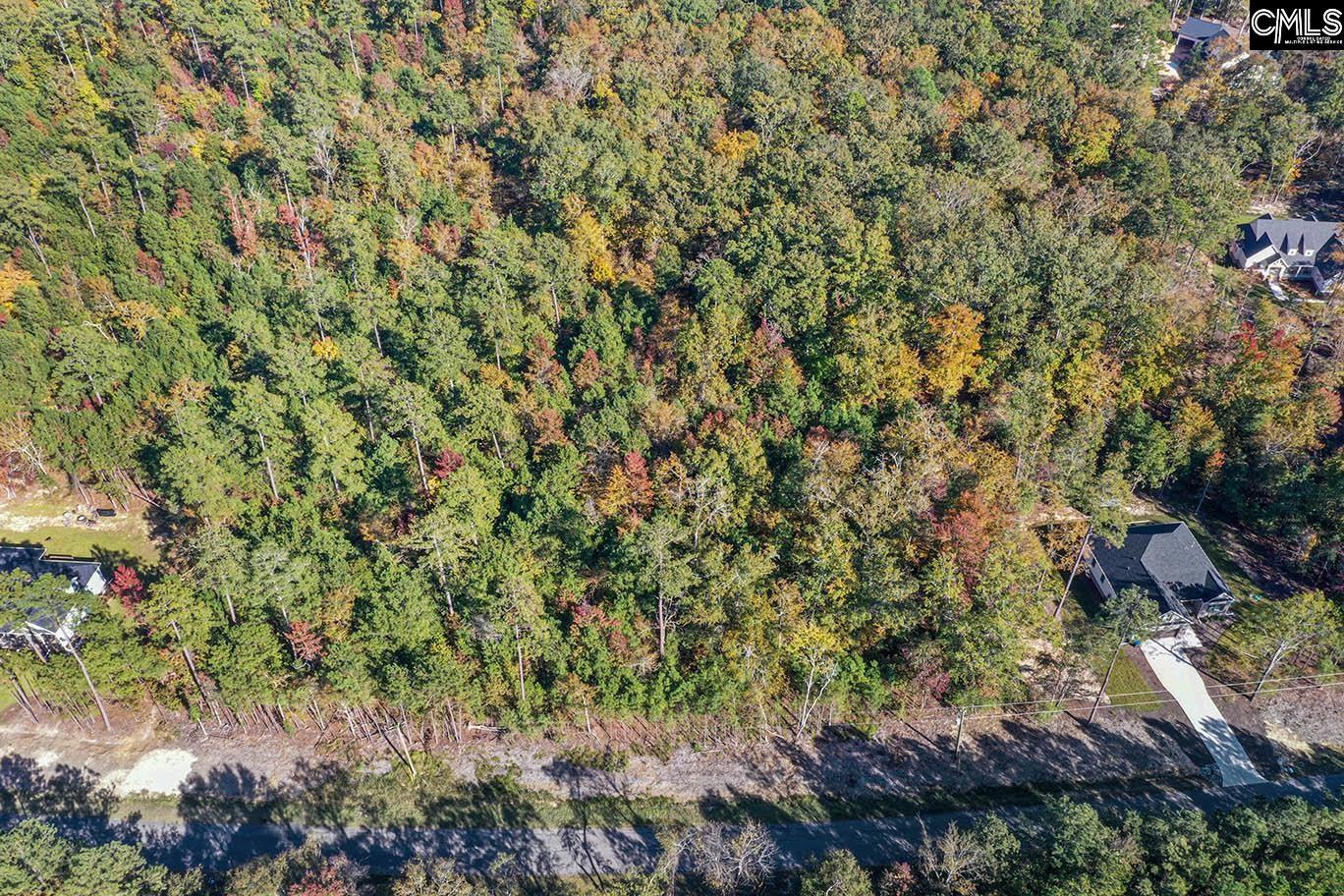 000 Hamms Landing Road, Prosperity, South Carolina image 31
