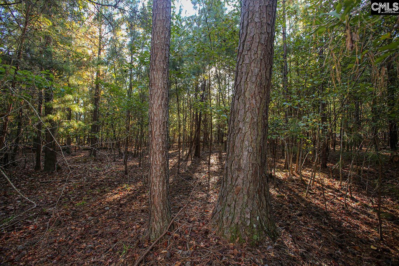 000 Hamms Landing Road, Prosperity, South Carolina image 35