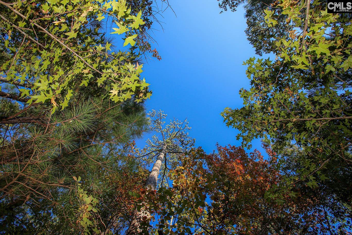 000 Hamms Landing Road, Prosperity, South Carolina image 5