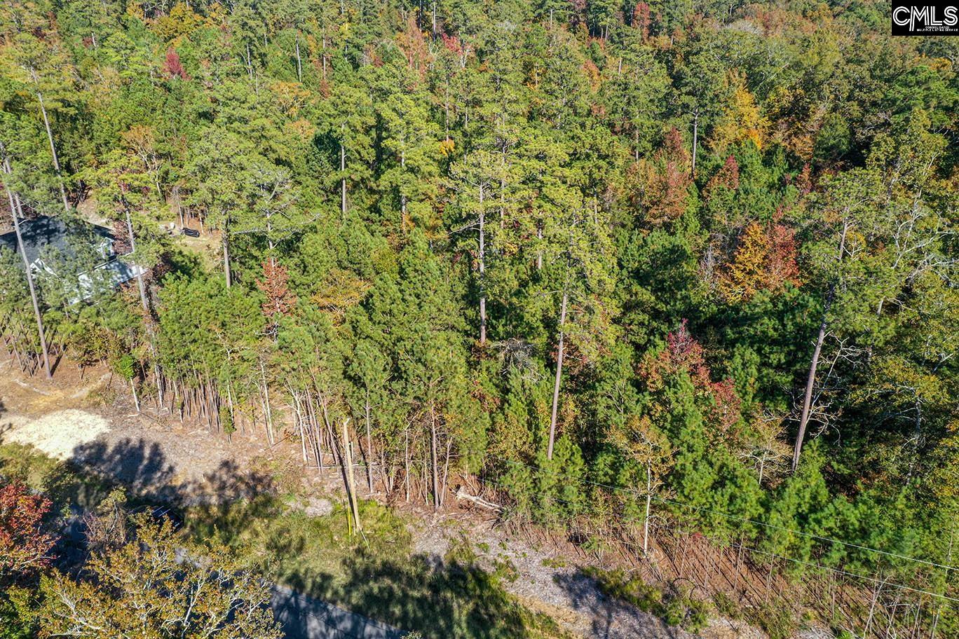 000 Hamms Landing Road, Prosperity, South Carolina image 6